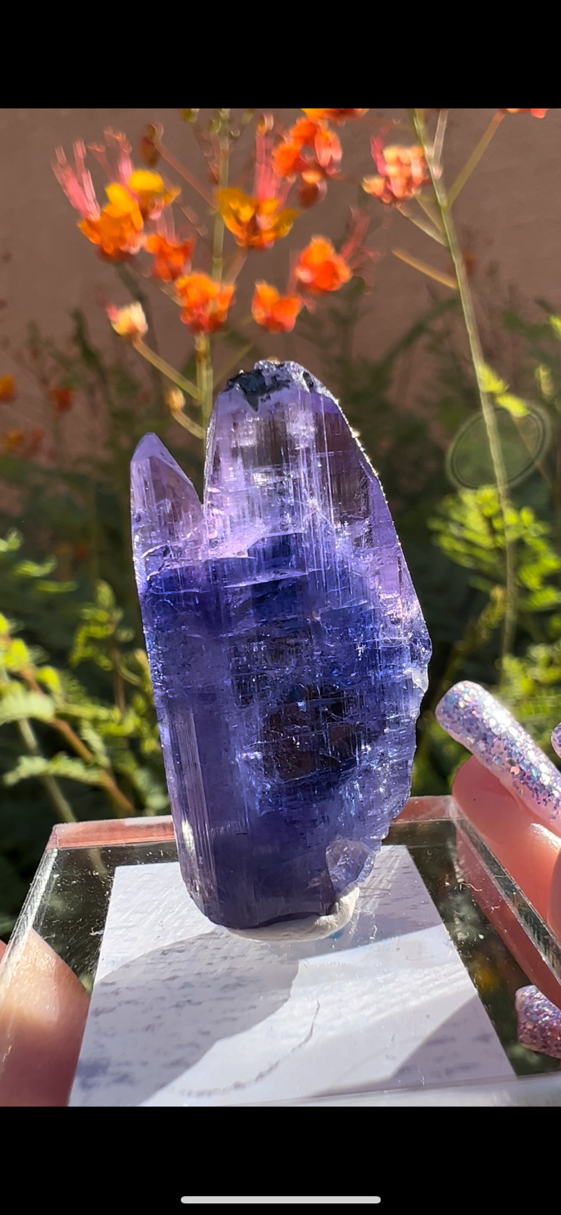 ADDB8483-3787-4A7D-A506-FC5B833A3FC5