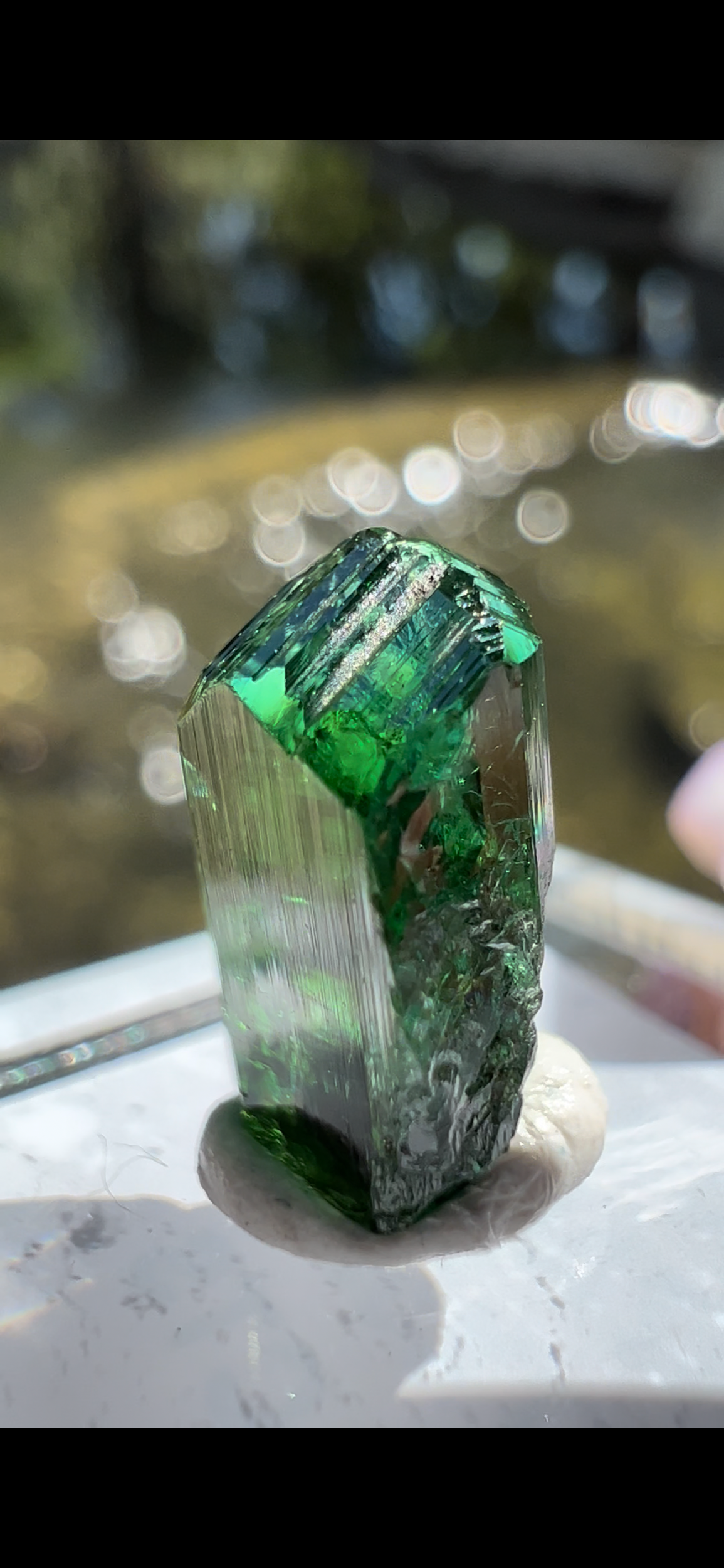 022133CB-F766-4C16-A848-7117D42BF308