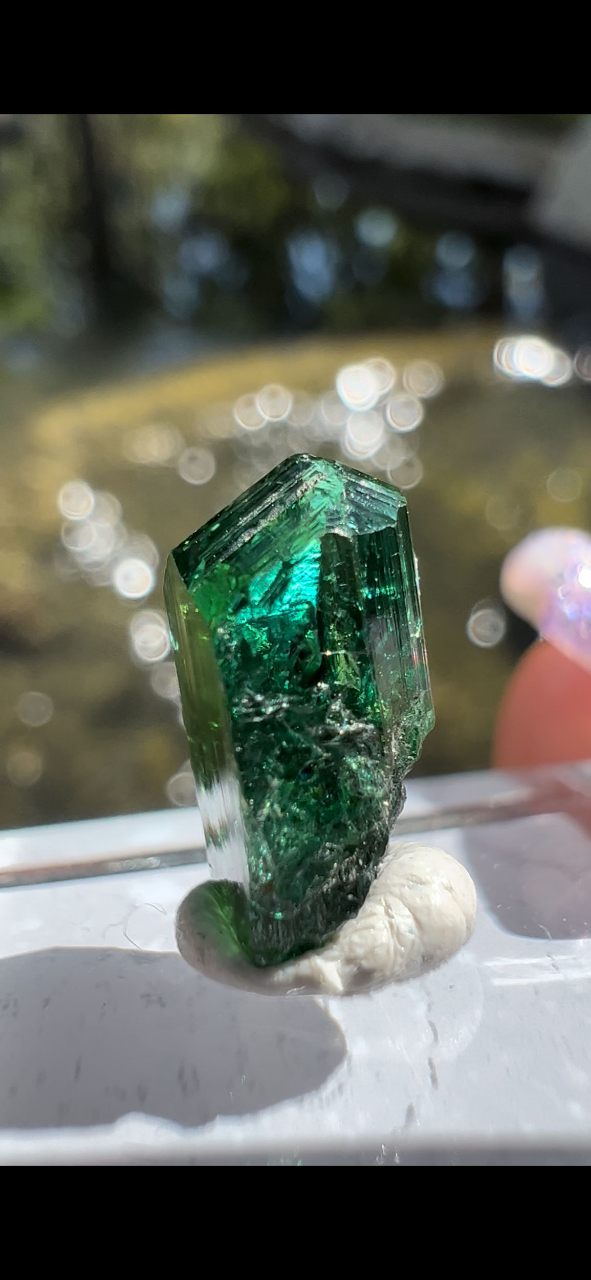 B8E9451C-AB2A-42D6-BF49-D2CD59CE25BC