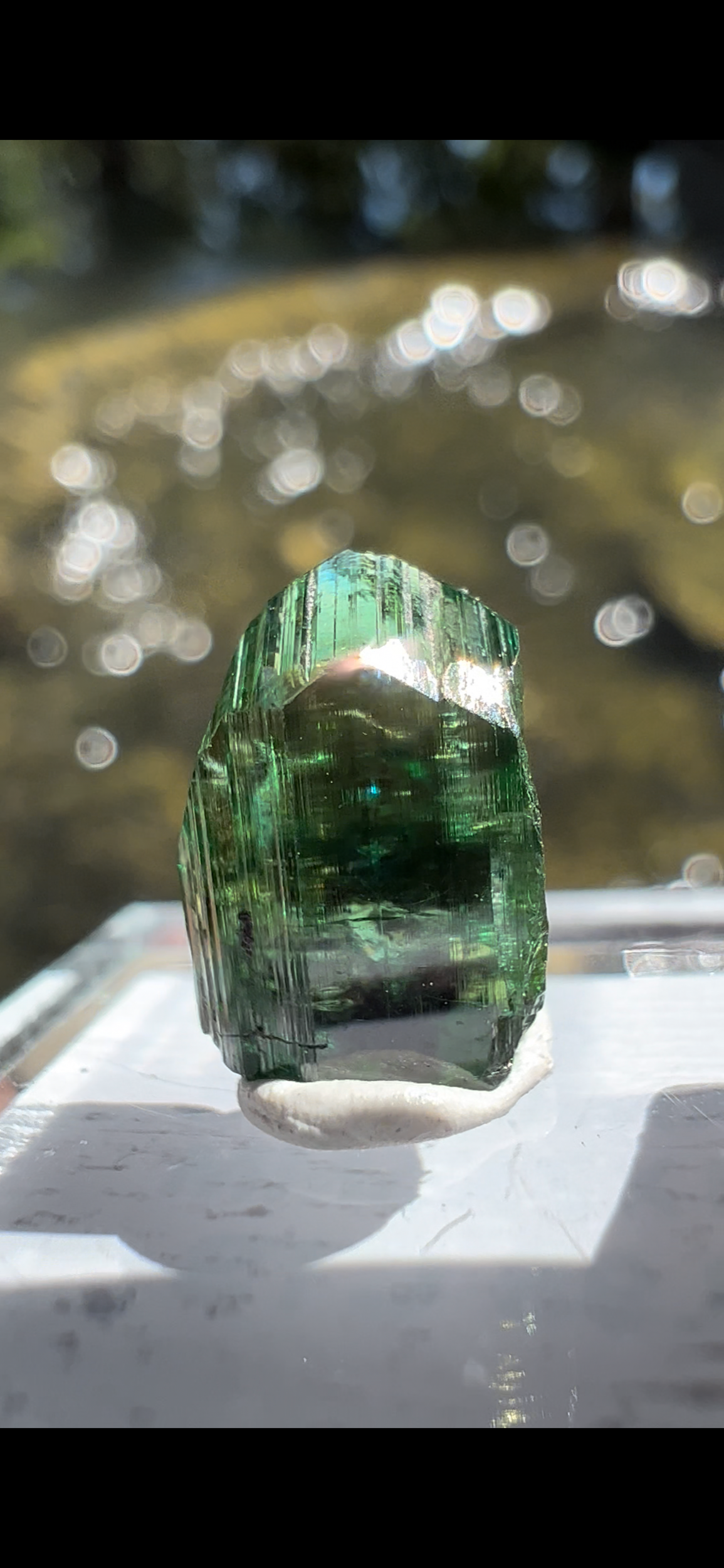 A98C9E3B-3D35-435D-9356-B3E179DCB40D