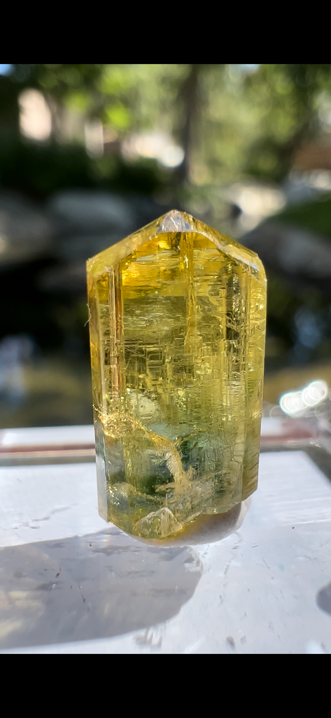 473BA55E-1B58-461C-96A0-2D91417396A7