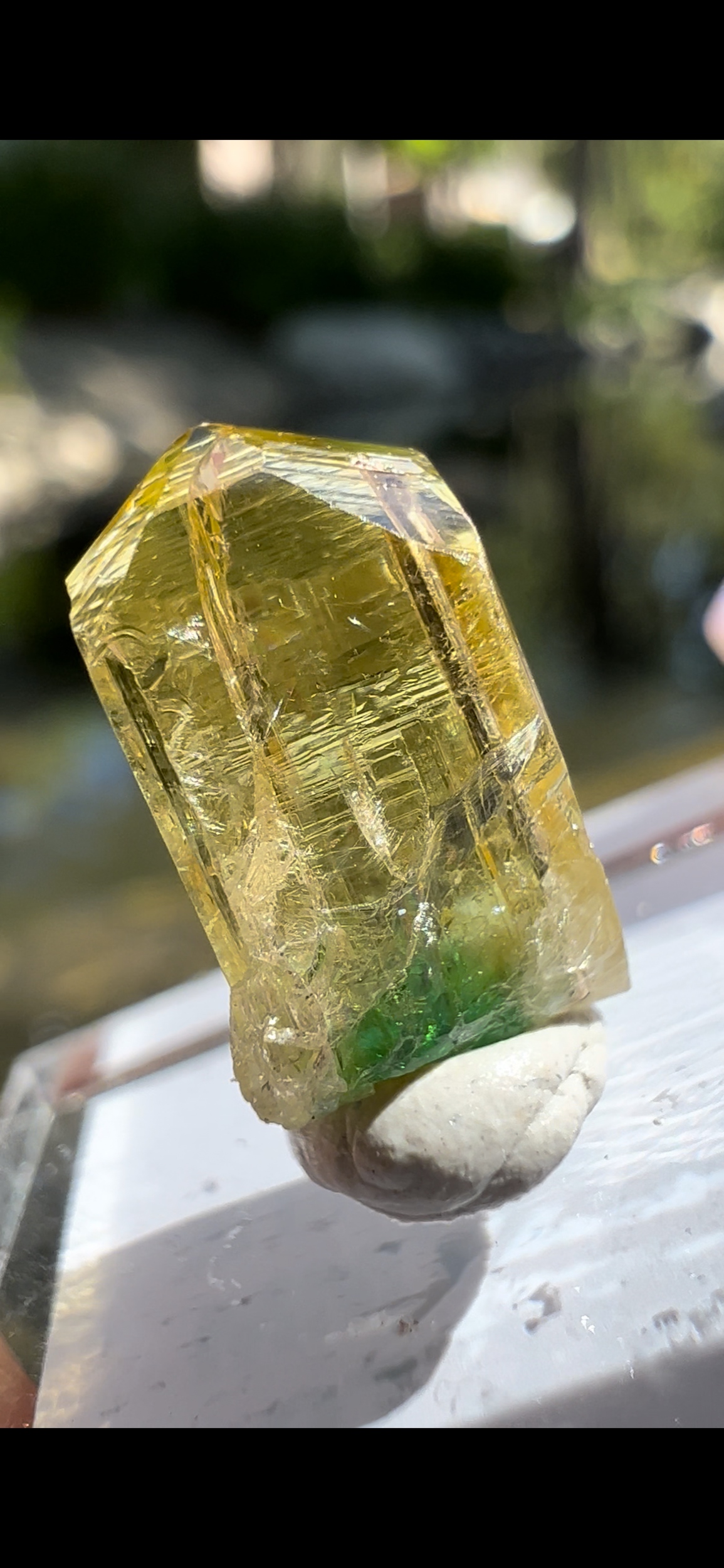 8CB69CBF-05BF-48BB-9BE9-19D1AC74564E