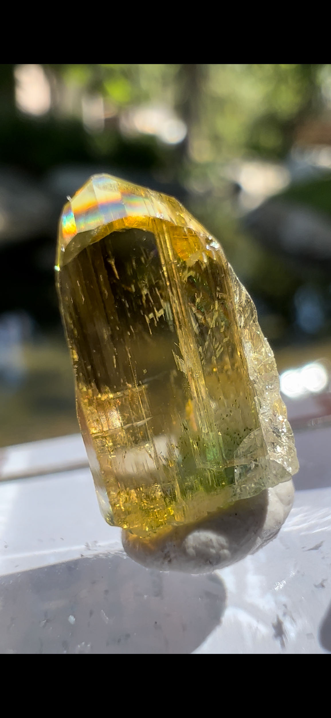 F45C9511-6F1D-43DA-BEE0-0D81F4827B4F