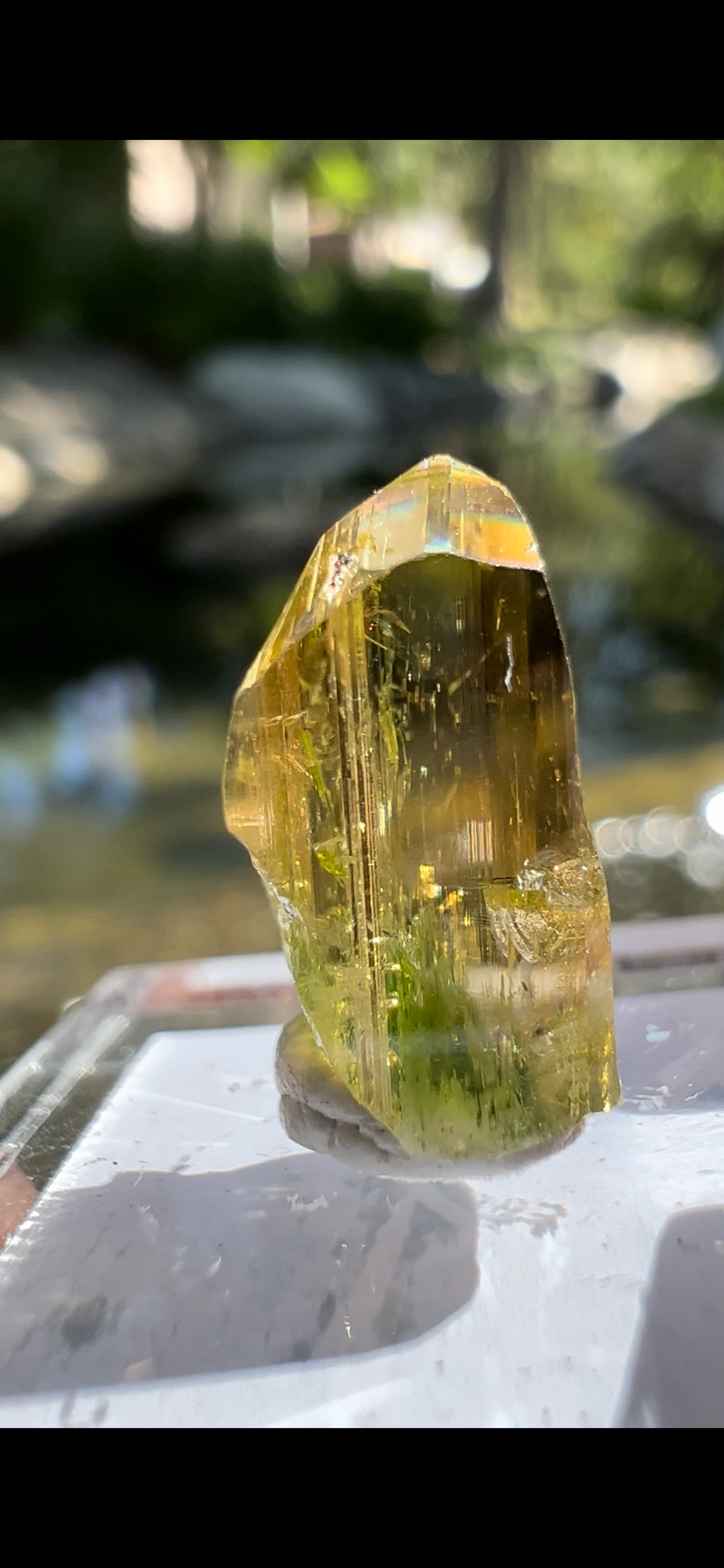 393259BF-09F6-41EC-8A7B-1A60D99D3377