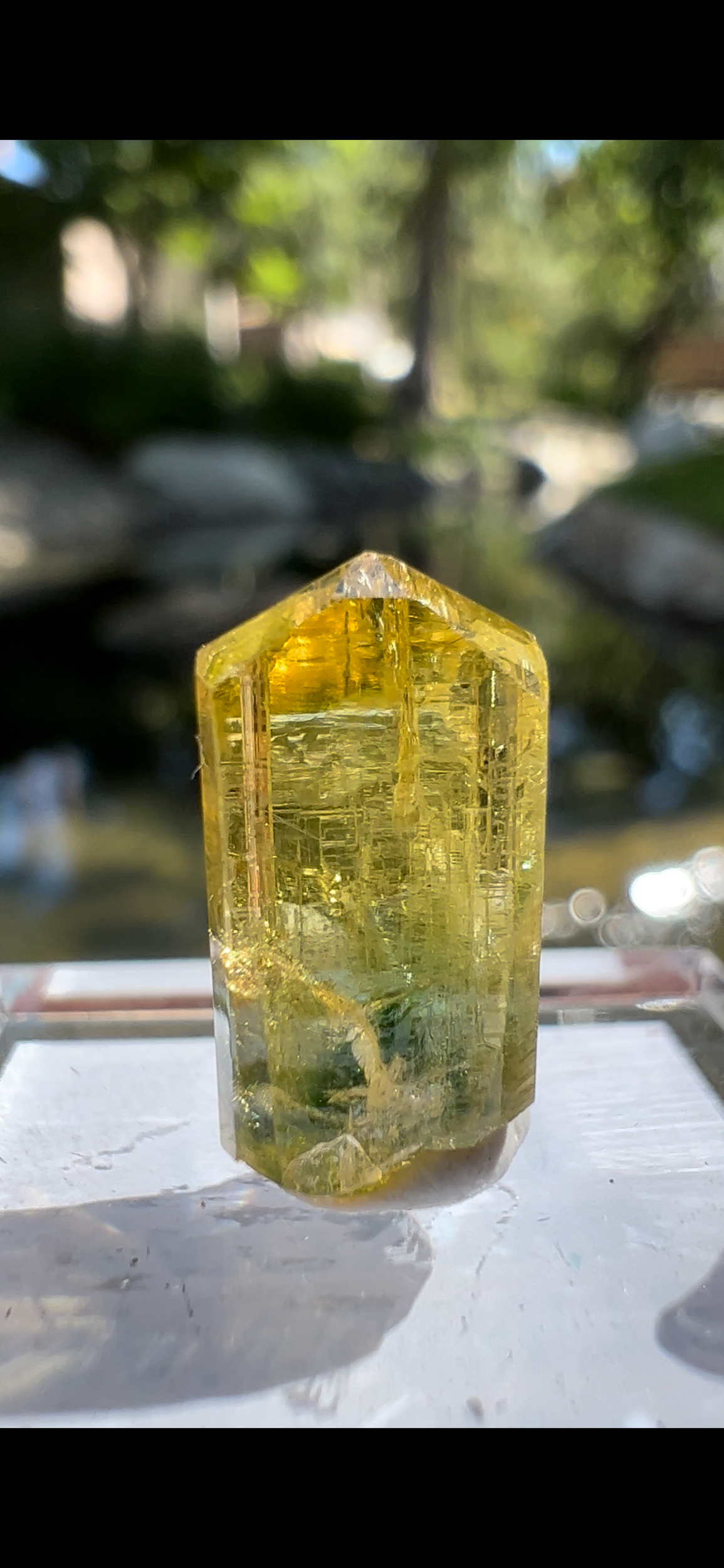 5E38CCF6-225E-42DE-8A59-7FC8A5A2DECE