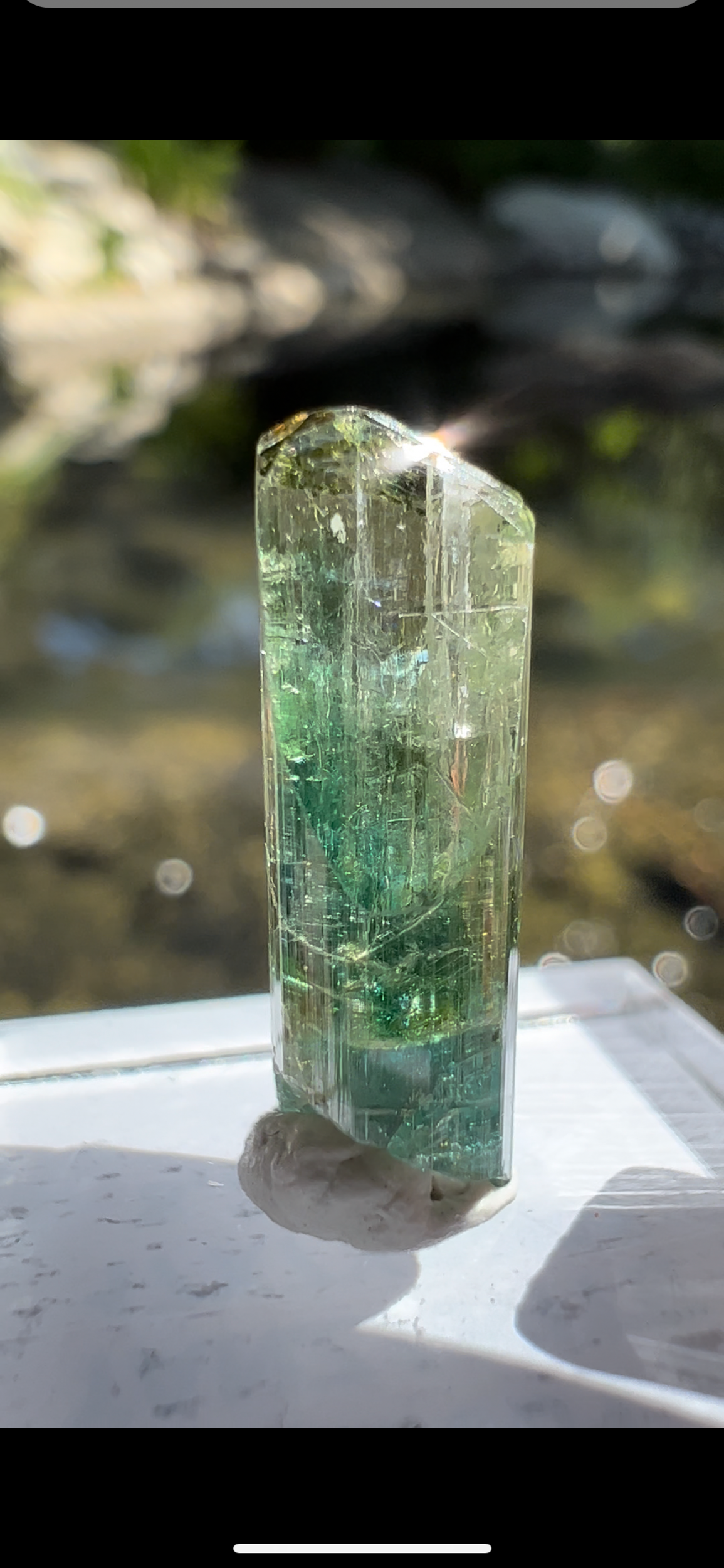 723B423F-A782-449A-AD40-D119DCA76E58