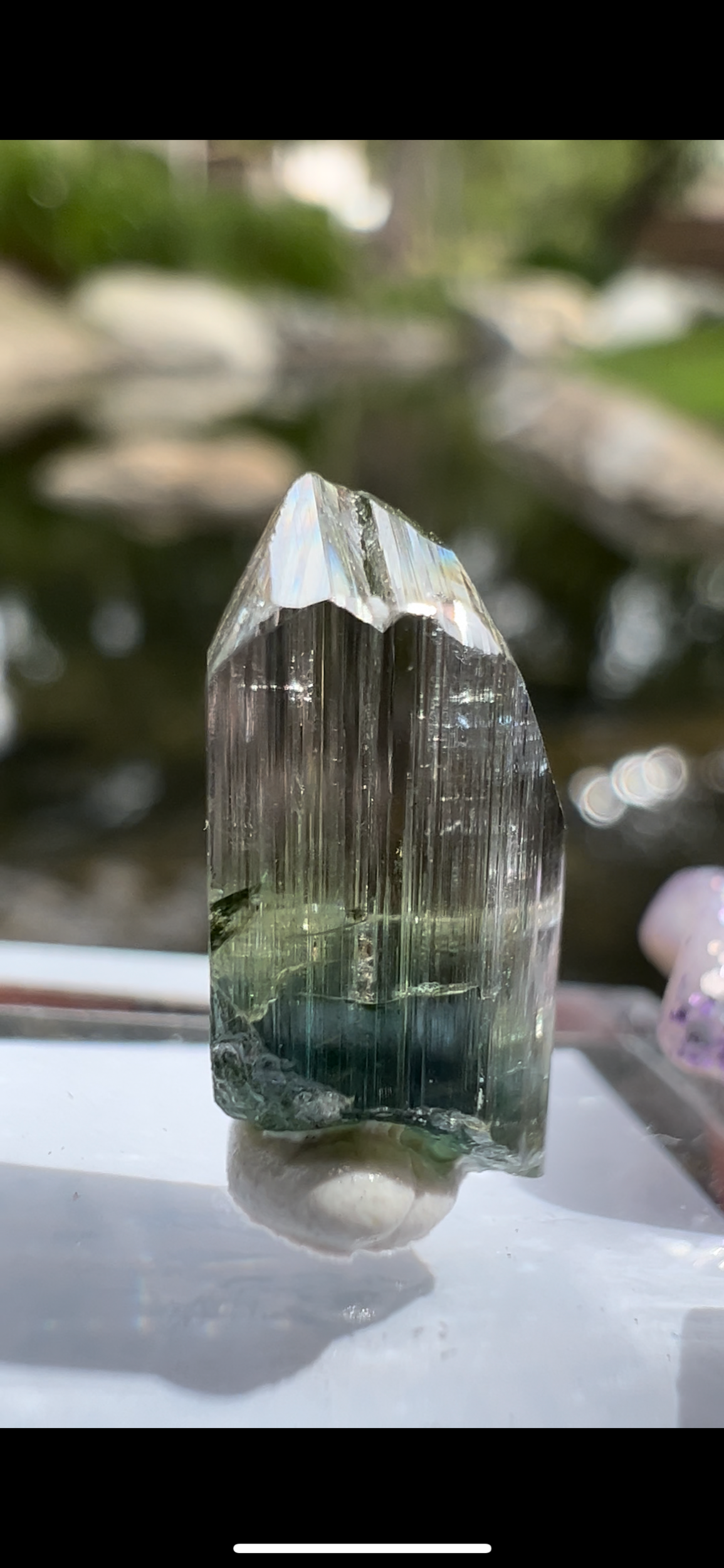 475E4430-40C7-4F3D-B94B-EC42B7B52CBC