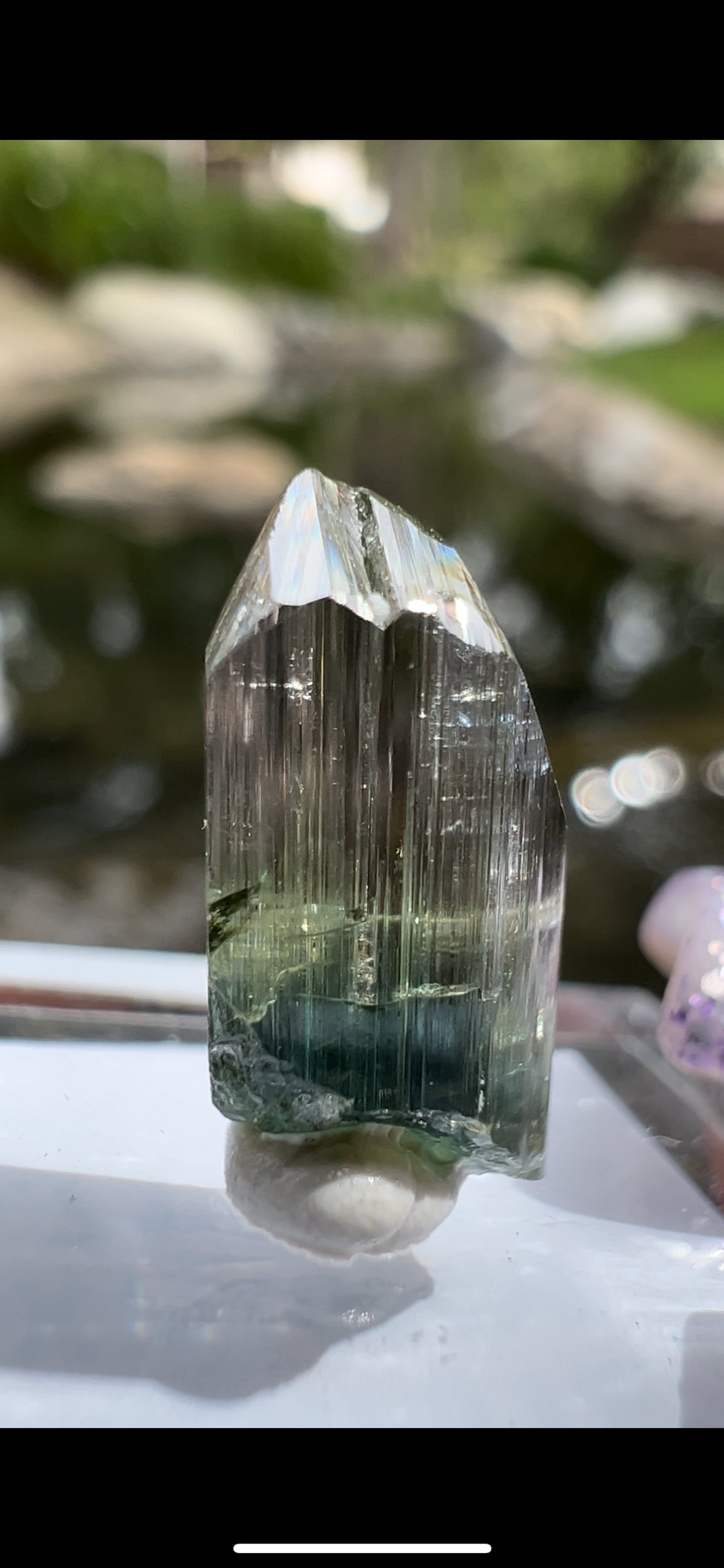 7ADF9D93-967B-4084-9BB4-6C16A2C7117E