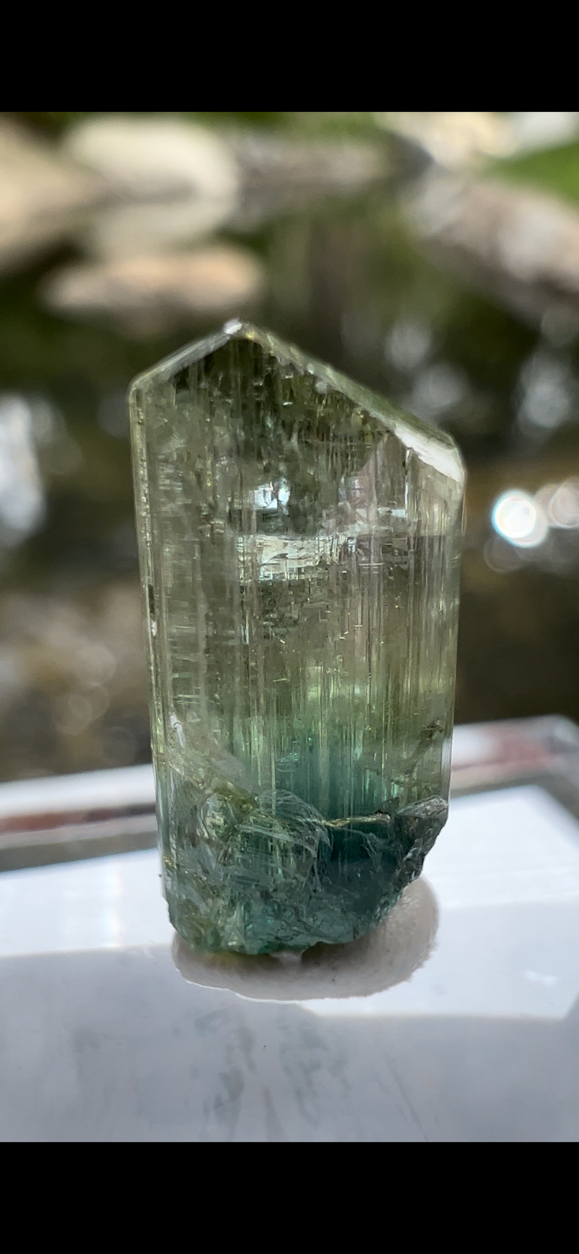 5A13A17B-9DD7-49B9-BAB7-4C40D3D99EA9