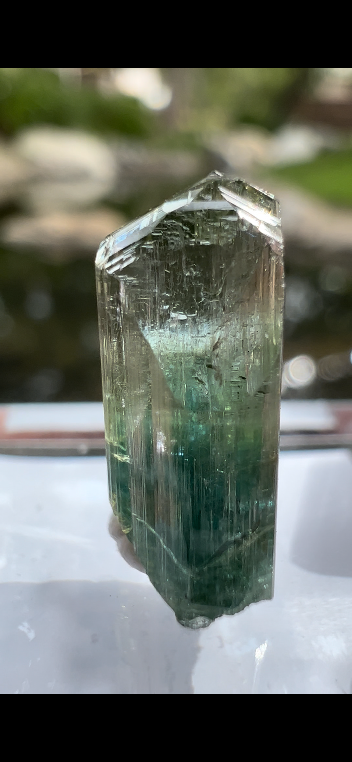 DCBC8C45-2D38-41A9-8670-E7568B00706C