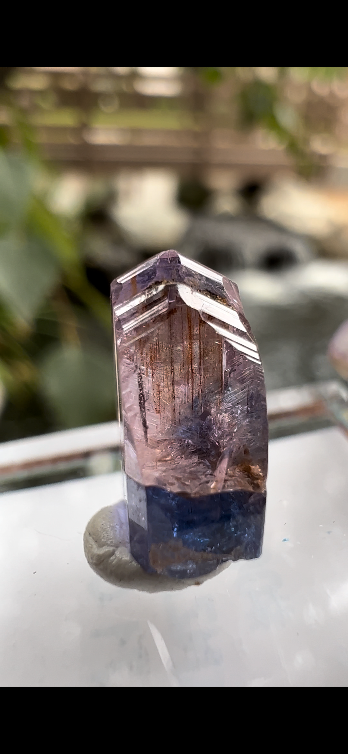 8A52D813-8376-49D2-A360-72A811D7542F