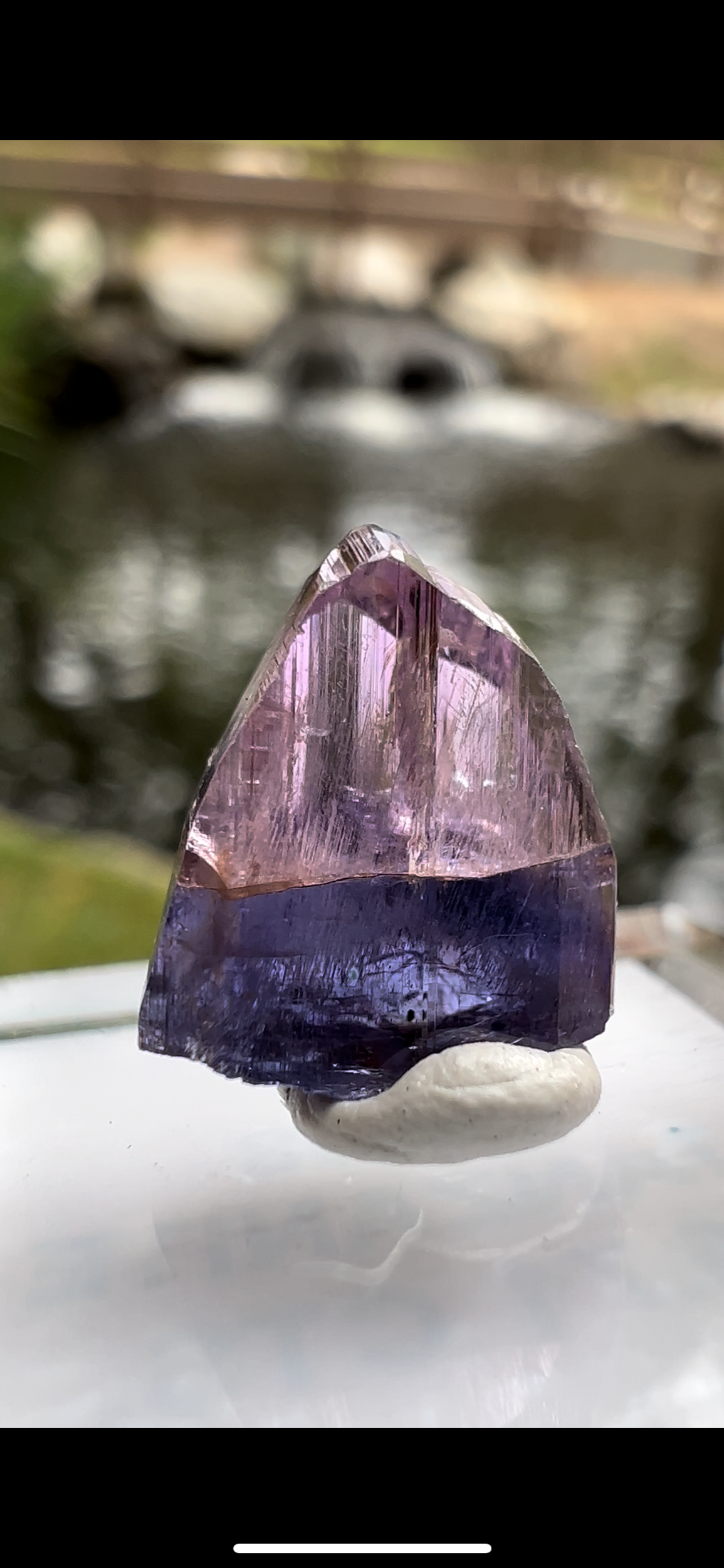 E270AD28-3190-4591-A868-C05E014B0DAD