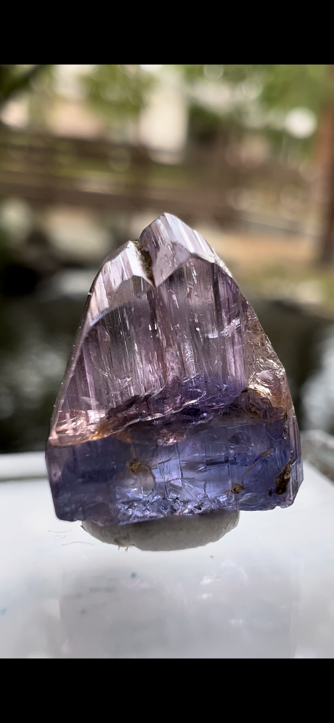 C9C1ECB9-A711-4F03-B86D-76BF16BC4DDF