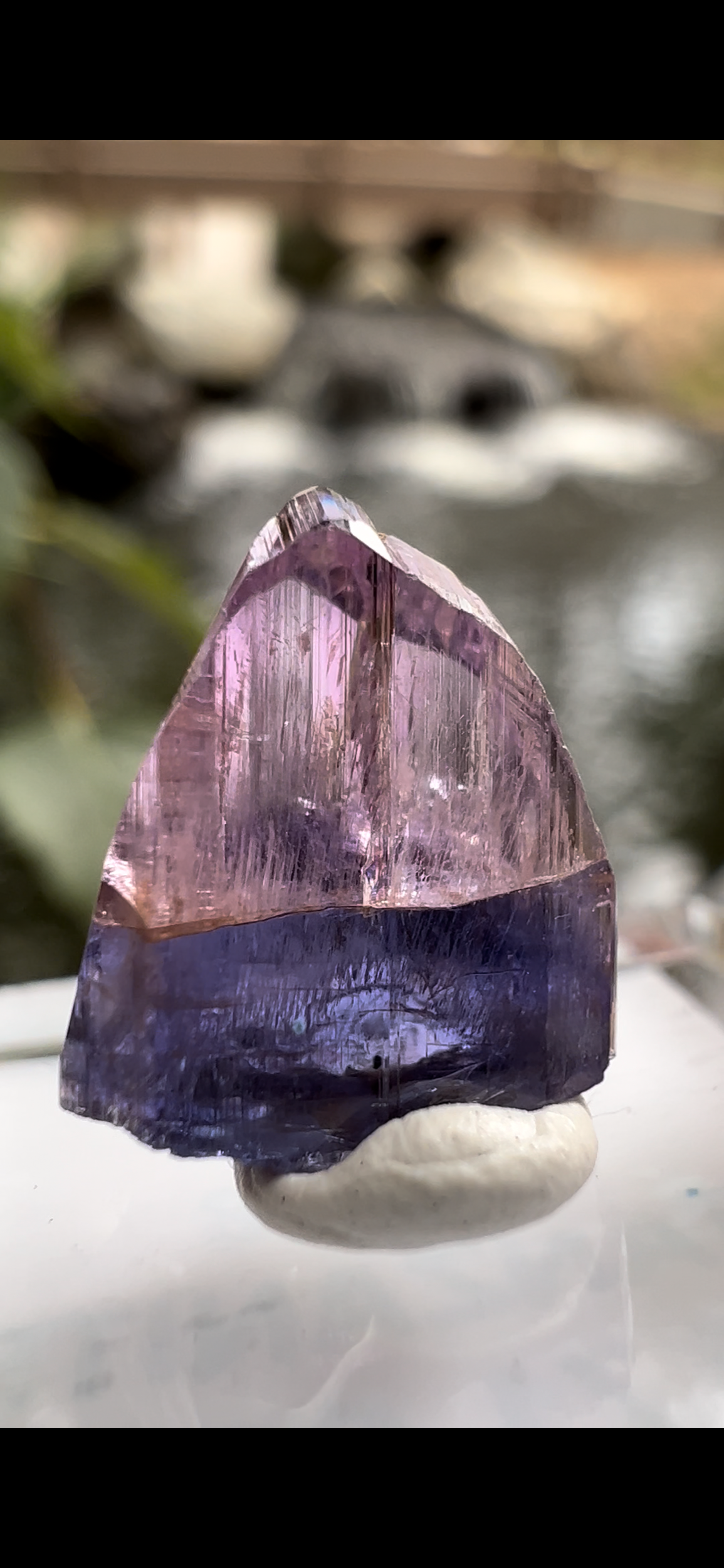 9A036596-8D11-4175-A609-D8F2AE45DA1C