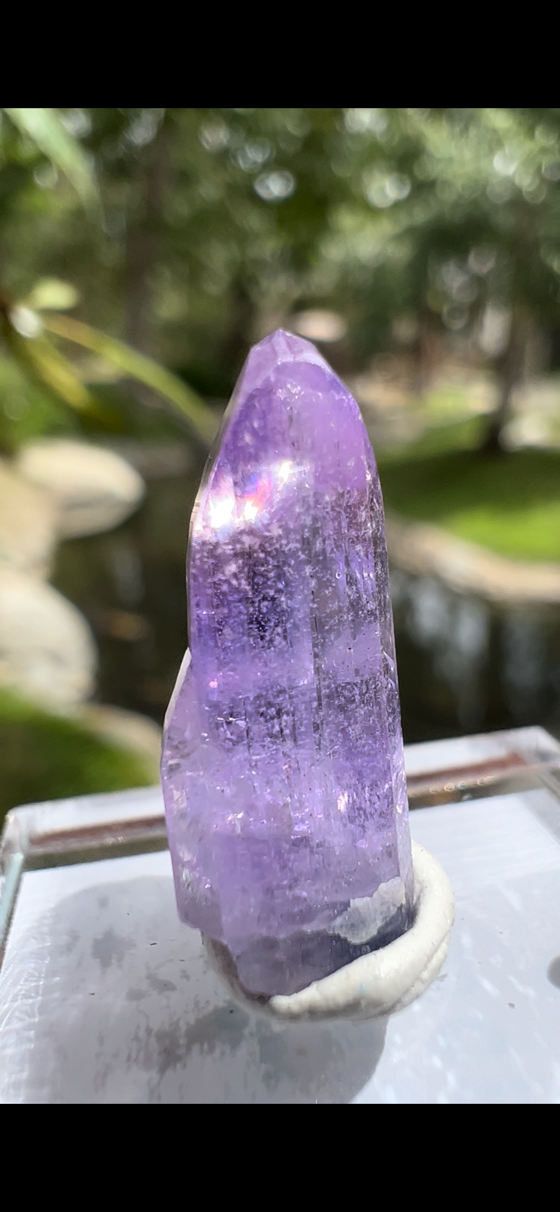 4888F286-088F-4F38-BF15-DA28E12AAA8C