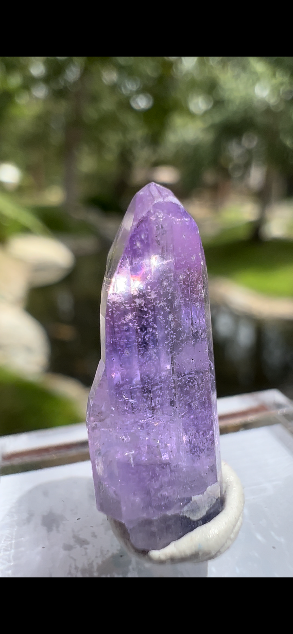 818263B5-3C96-4916-AD89-AF2966612FC3