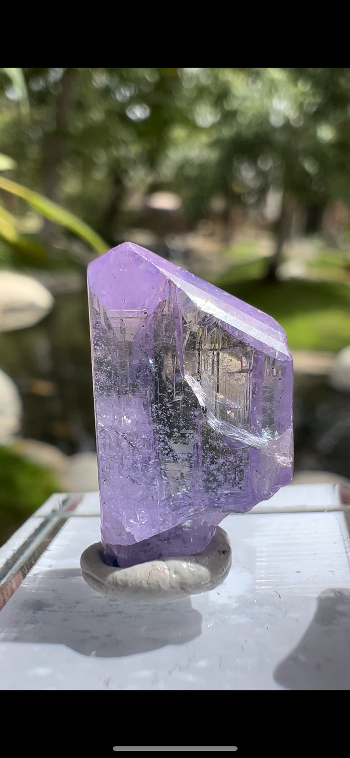 5D87A4F8-8529-46E8-B54B-35E26A92B5EA