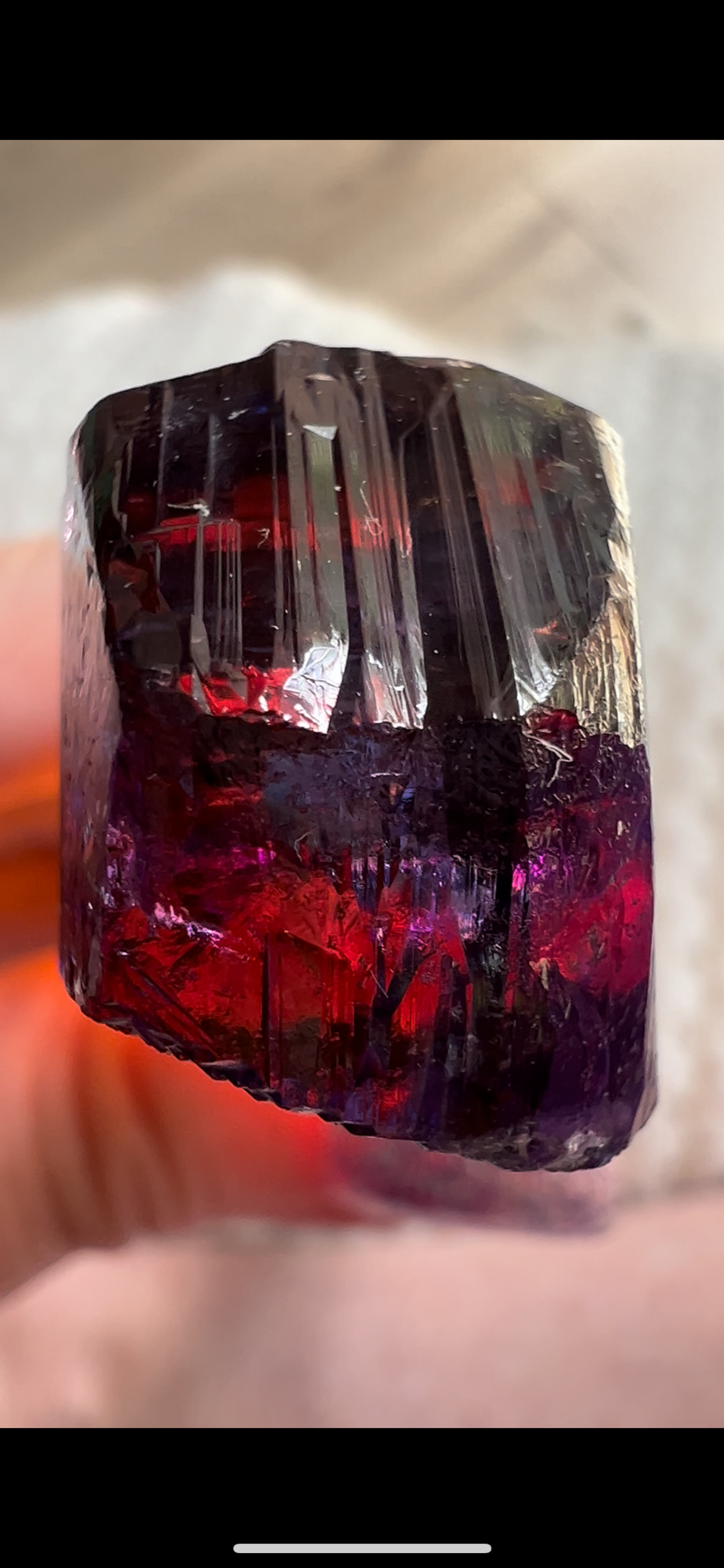 EB0242F2-0F7B-4C41-B77B-690CAE0BDBE9