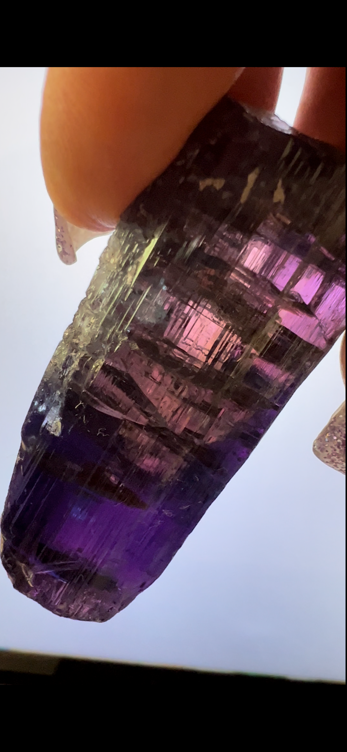 280990E5-C349-41FB-B9AE-C80B515336A6