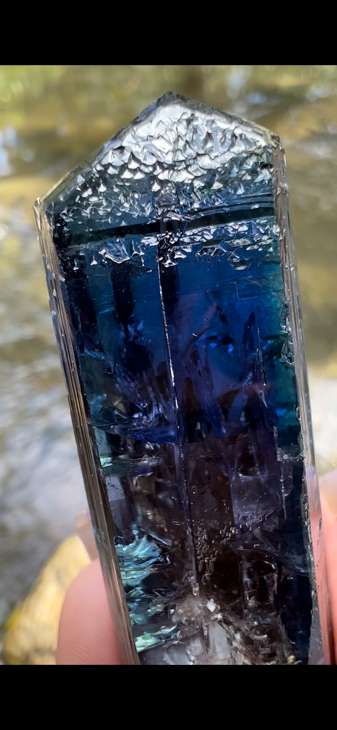 694CA786-34EA-420A-ADCD-3B9F92D98120