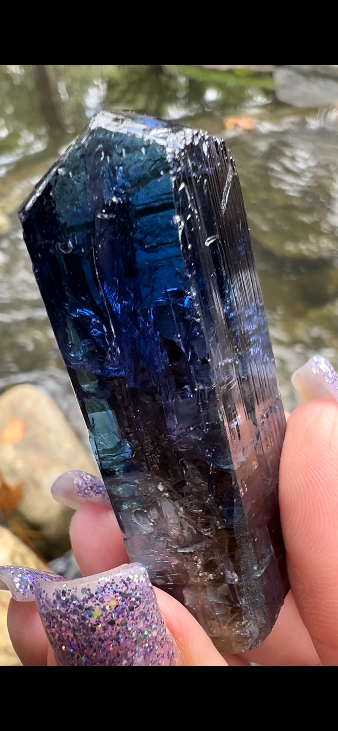 19F2101F-B54A-47C2-9865-57CF00012724