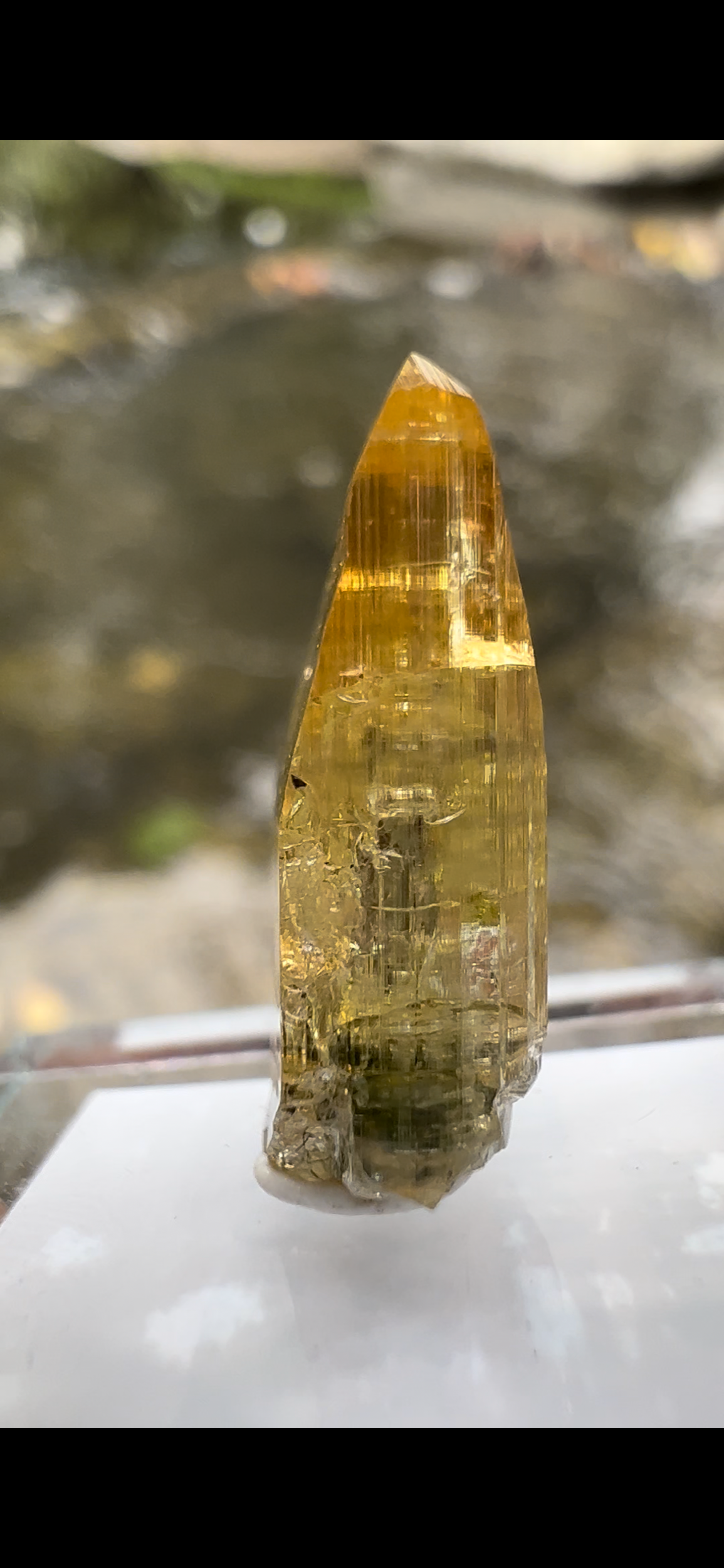 4BFA4566-C8AB-4CCC-B16C-99B916DF7107