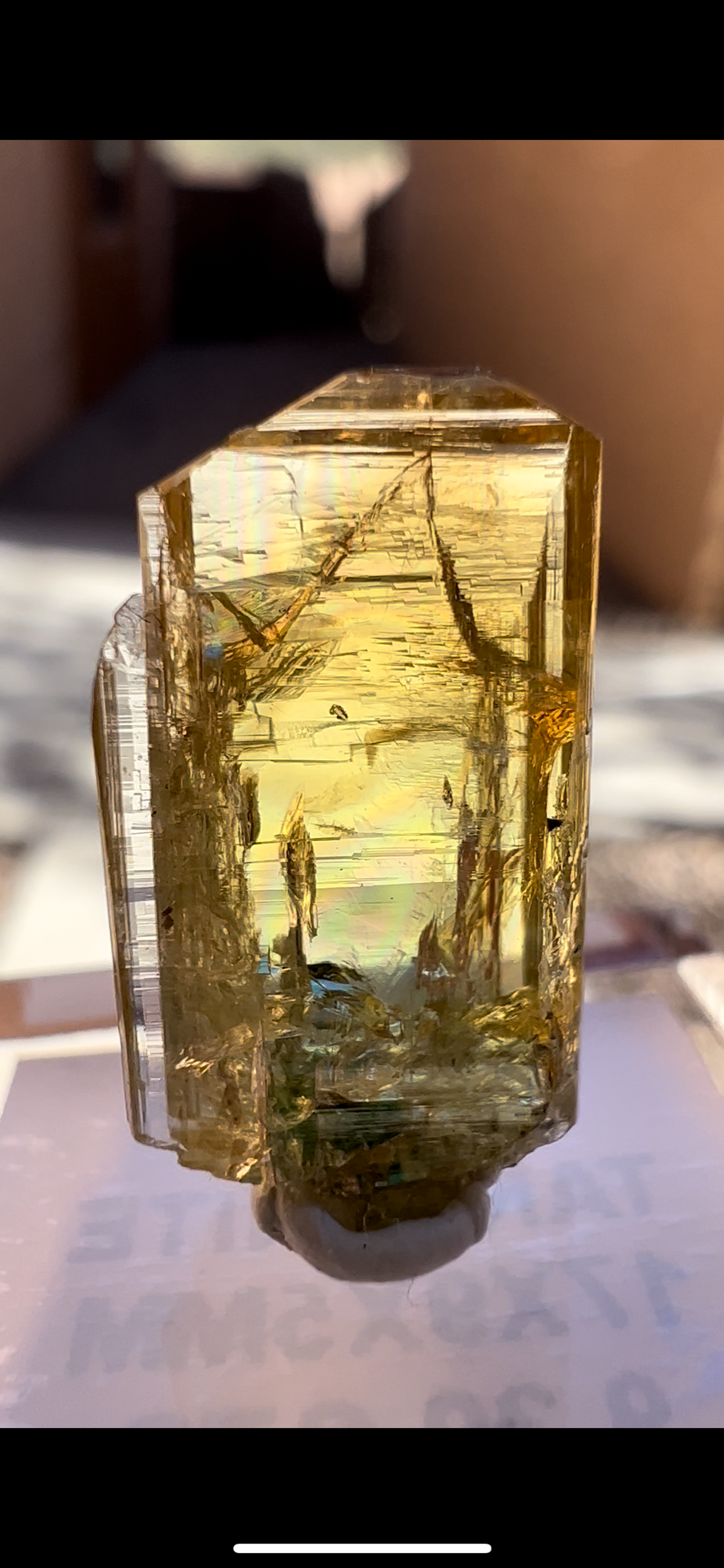 85D20D8D-698D-427B-8C56-806AF62713B9