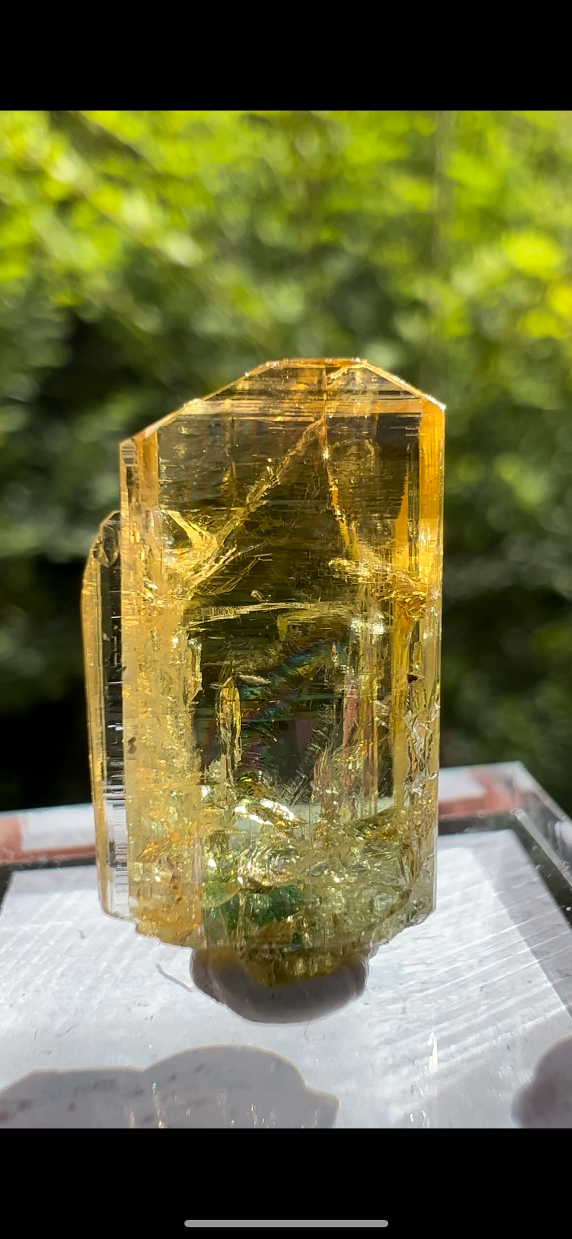 3DC24861-668F-4C9A-BE60-D886DD6F3F93