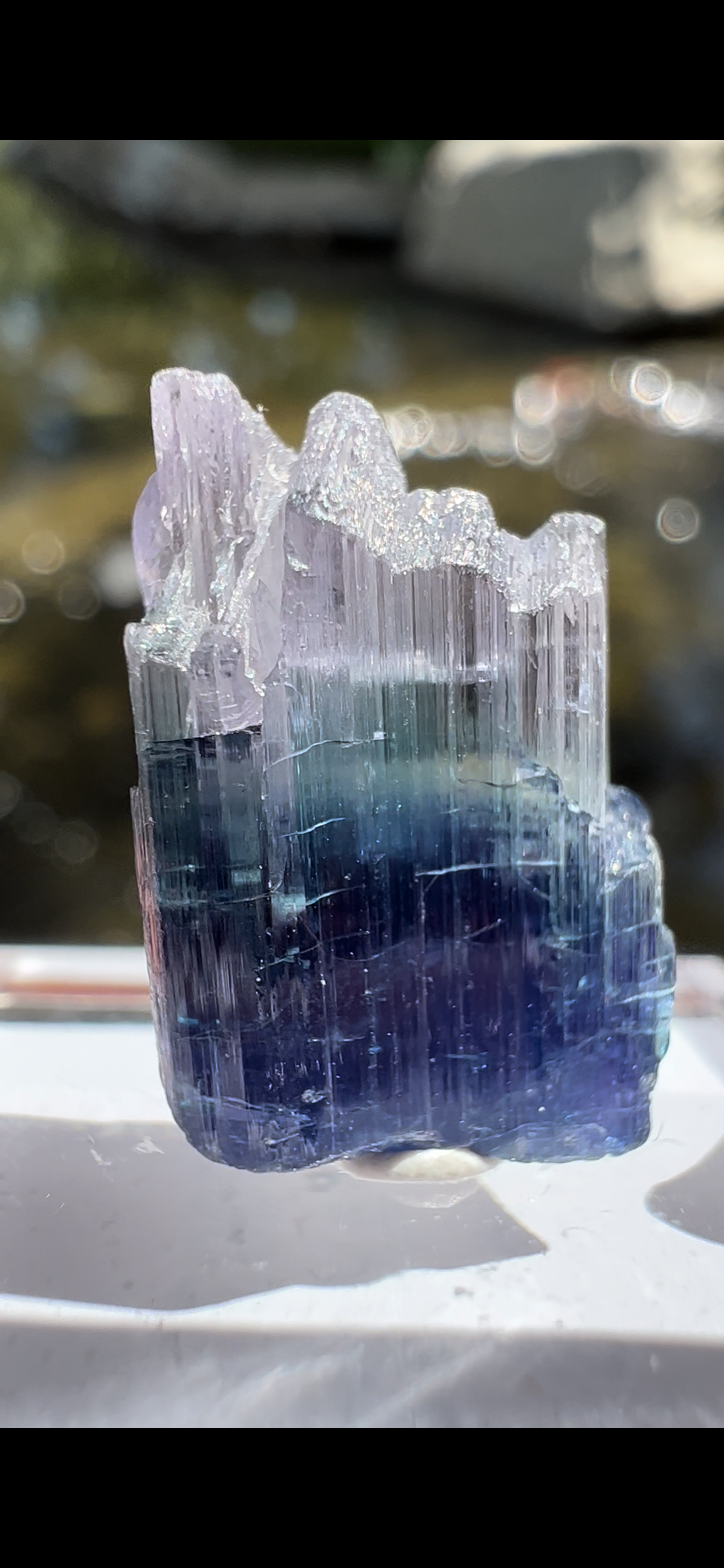 4FE027FD-DD9D-4D88-863A-5F272829F57C