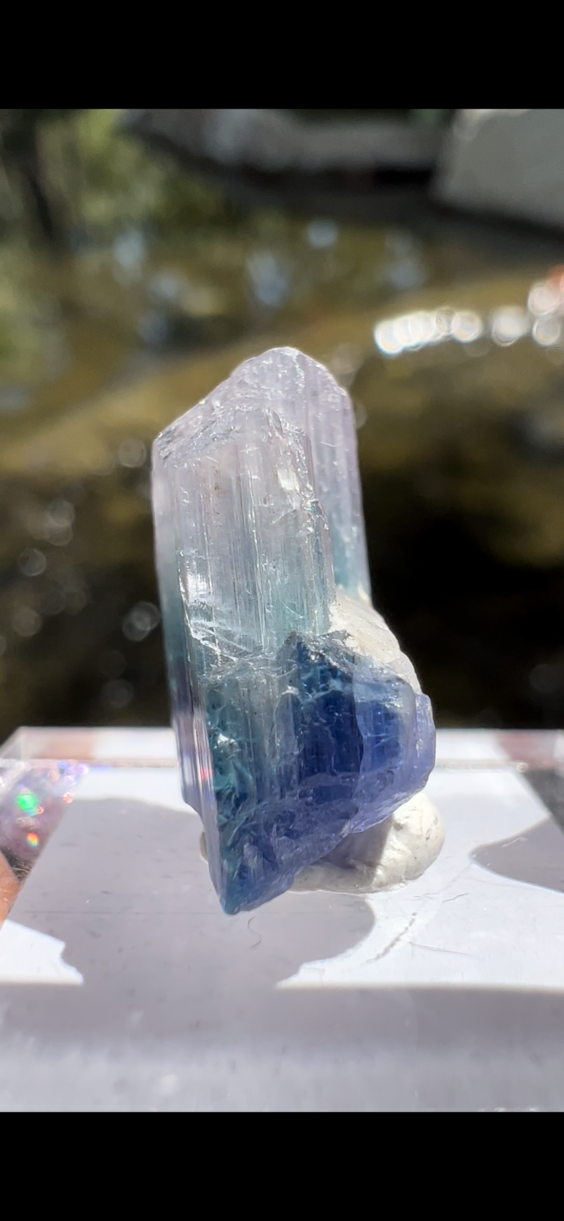 C1CF8D7A-8304-4460-A845-DCD43E243767