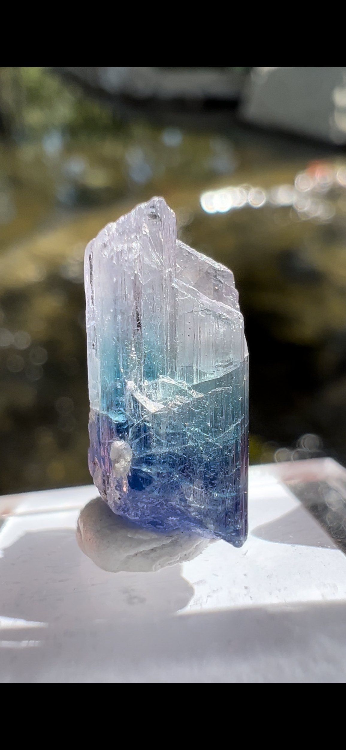 5E6AD35F-8F28-4260-B7D9-2B3D53054EDC