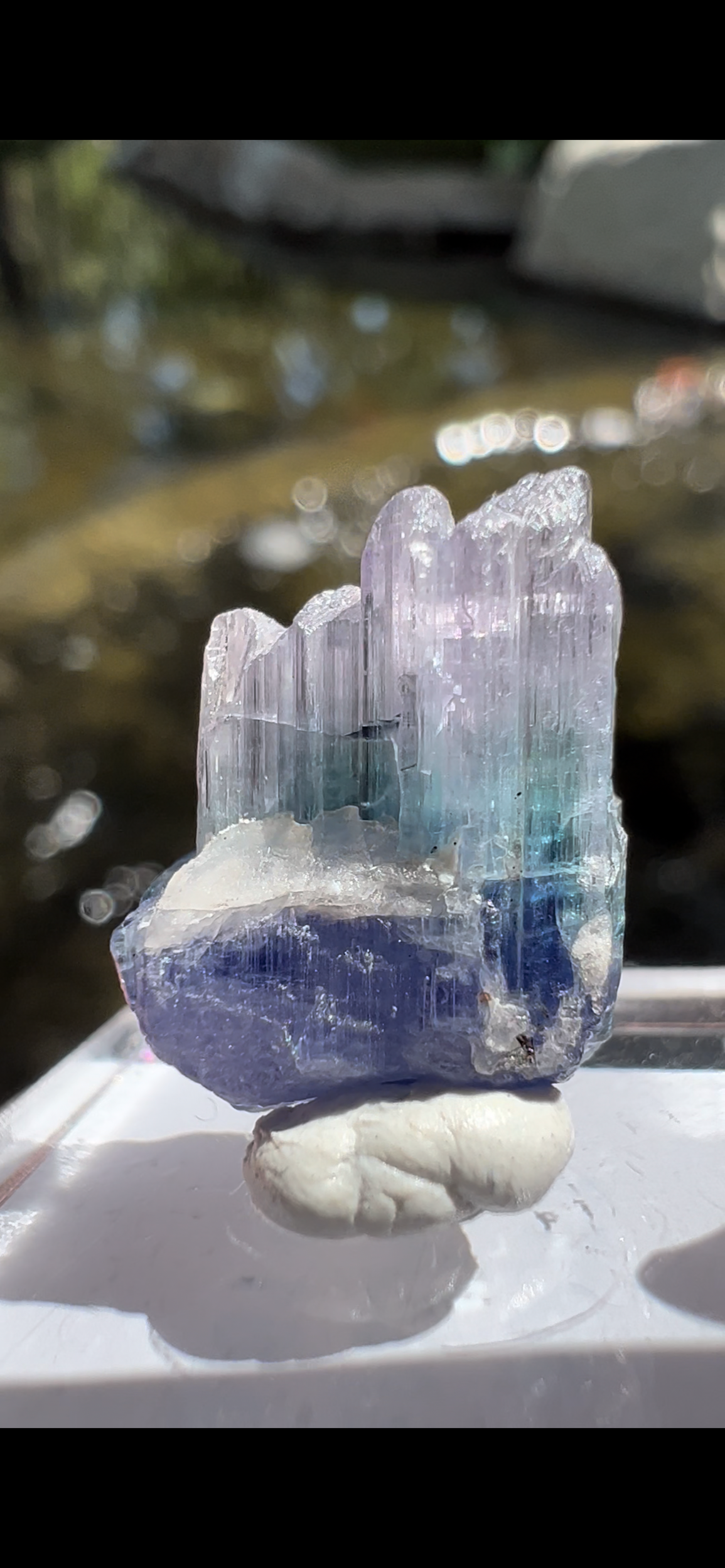 61724D6B-77CD-484F-A116-268A0E3E7A88