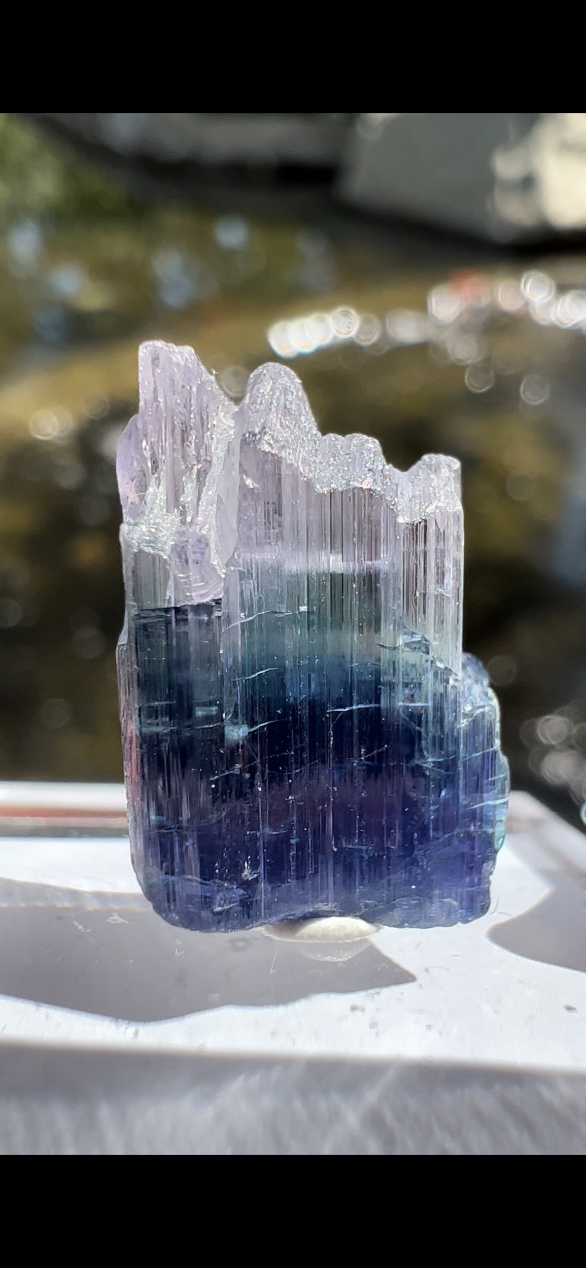 3C6E0D77-A8D0-42B3-A7F3-80A0562C364F