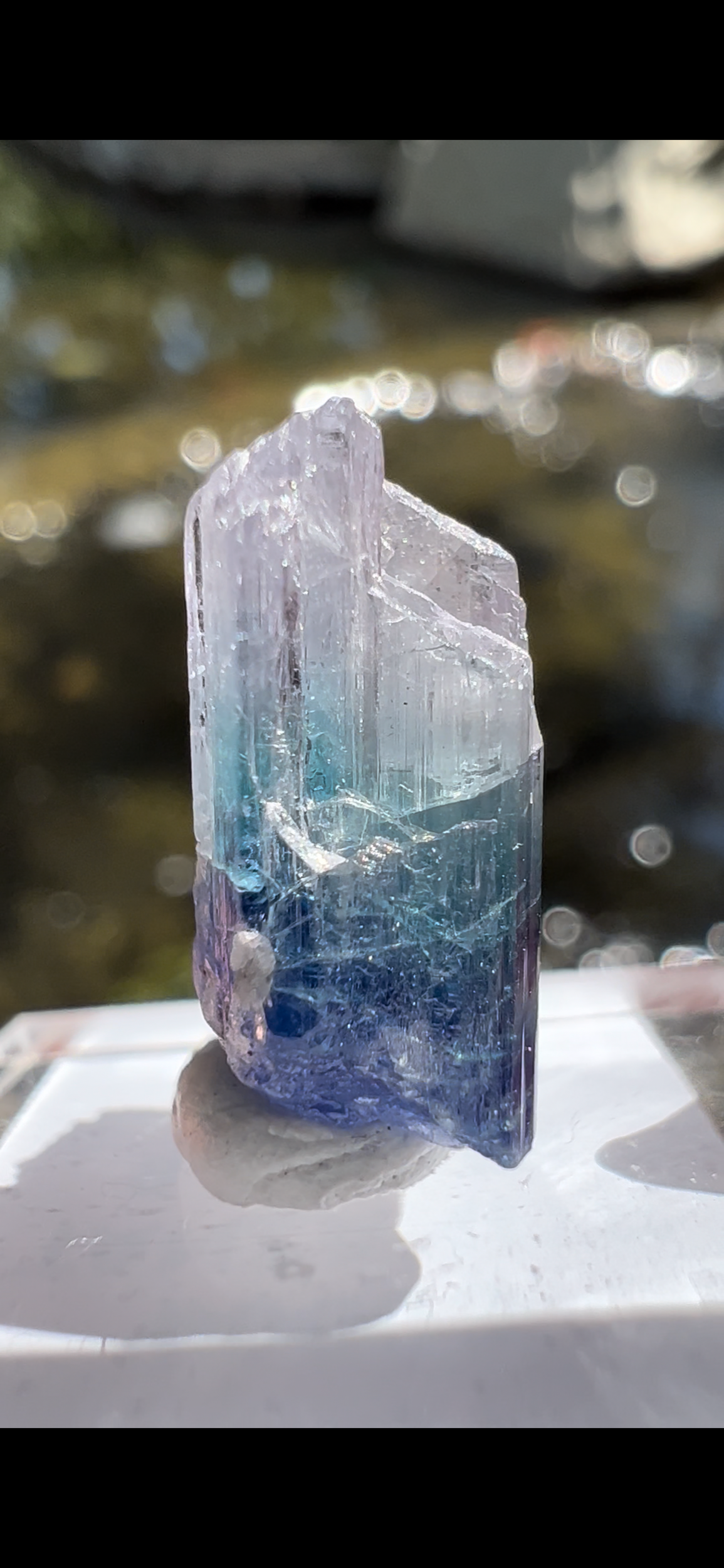 F5281052-668B-45A0-BB0A-4FAC08B754F0