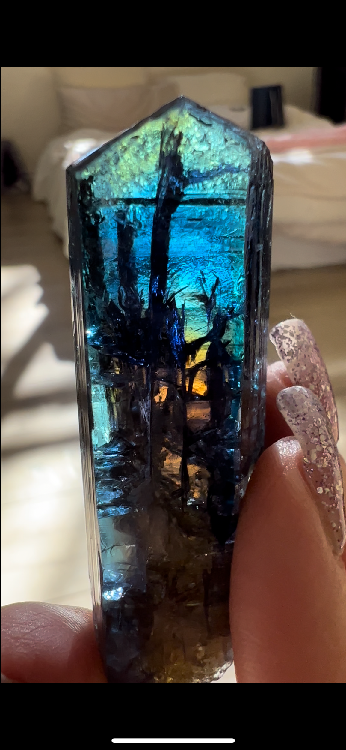 81840D60-2B79-4AA3-A74F-1E15CCF845DE