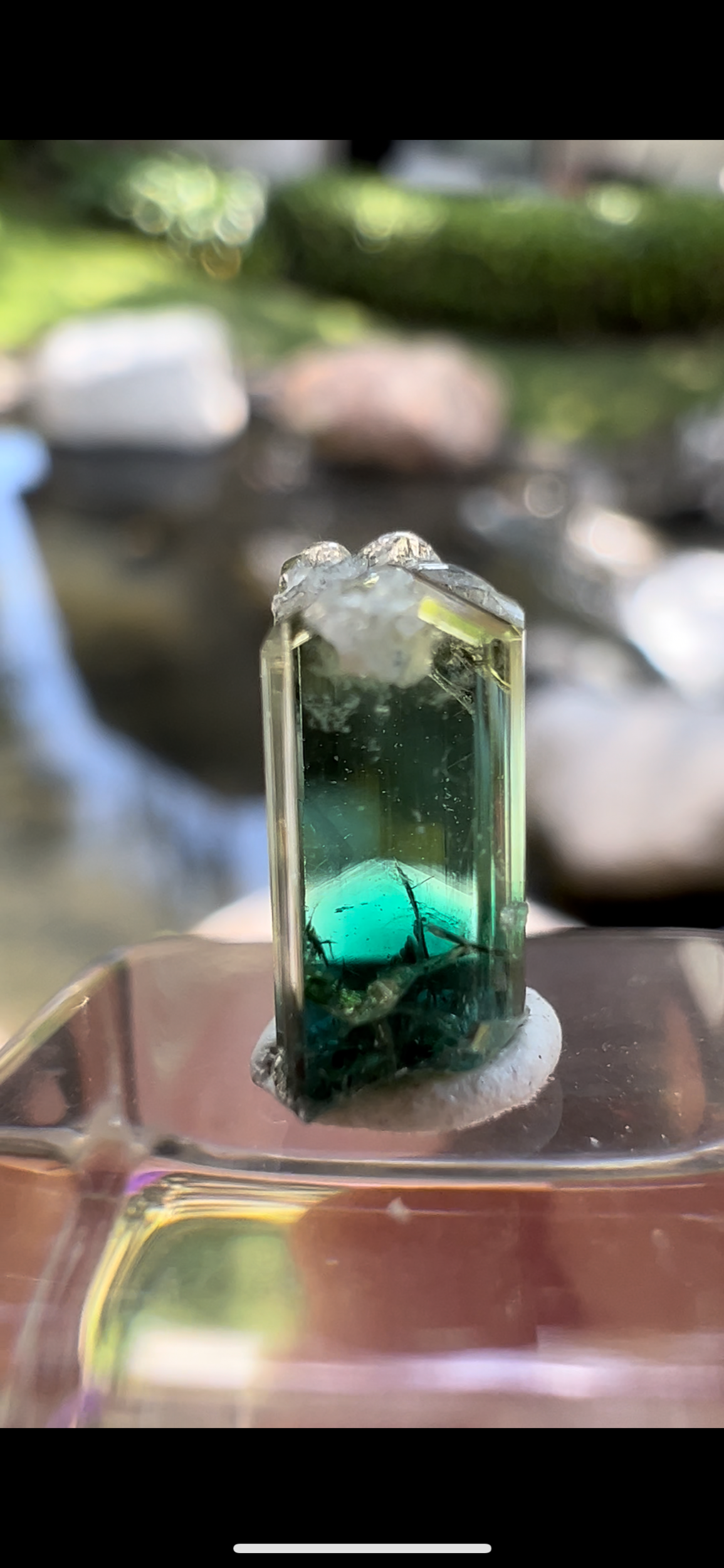 62093523-2616-4877-9F40-FD4B590BF8FD