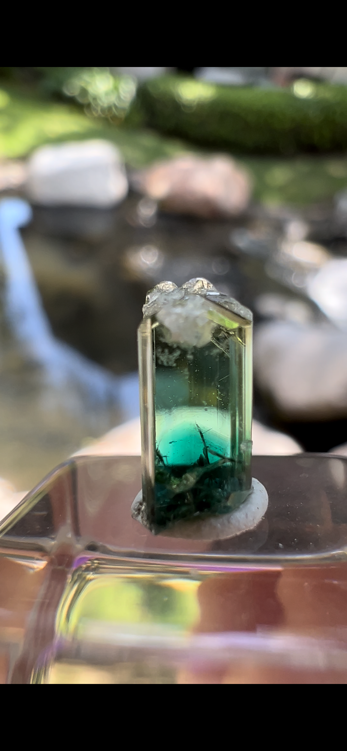 EEC17A2C-45EC-445D-BBD7-6BEA24E5B179