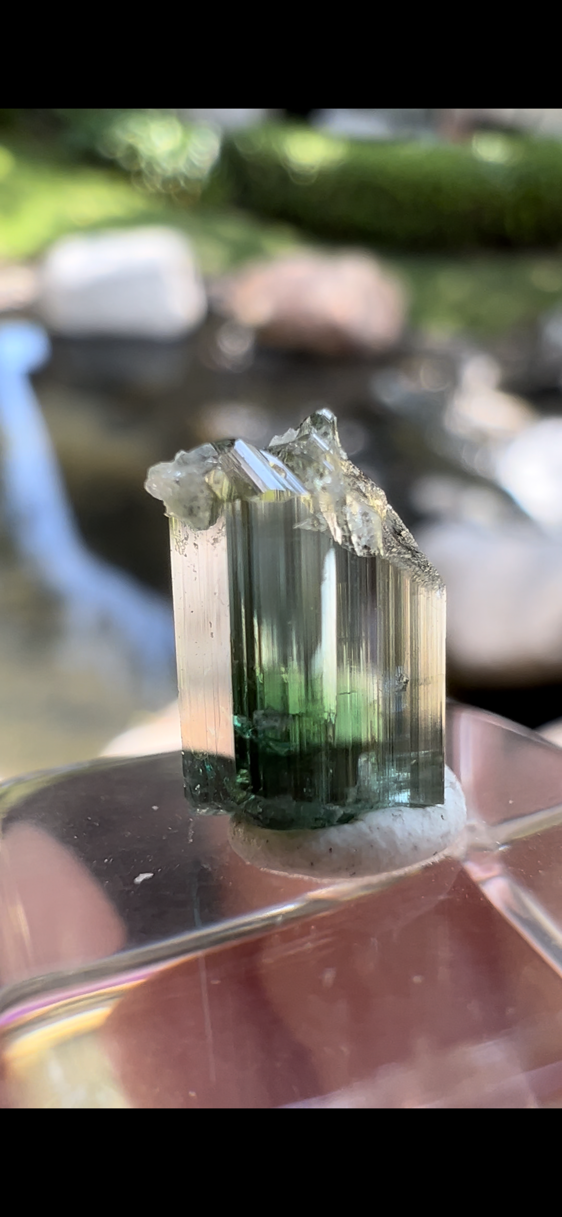 A34A7AD0-009E-4BFF-BBE7-AA915AF96D51