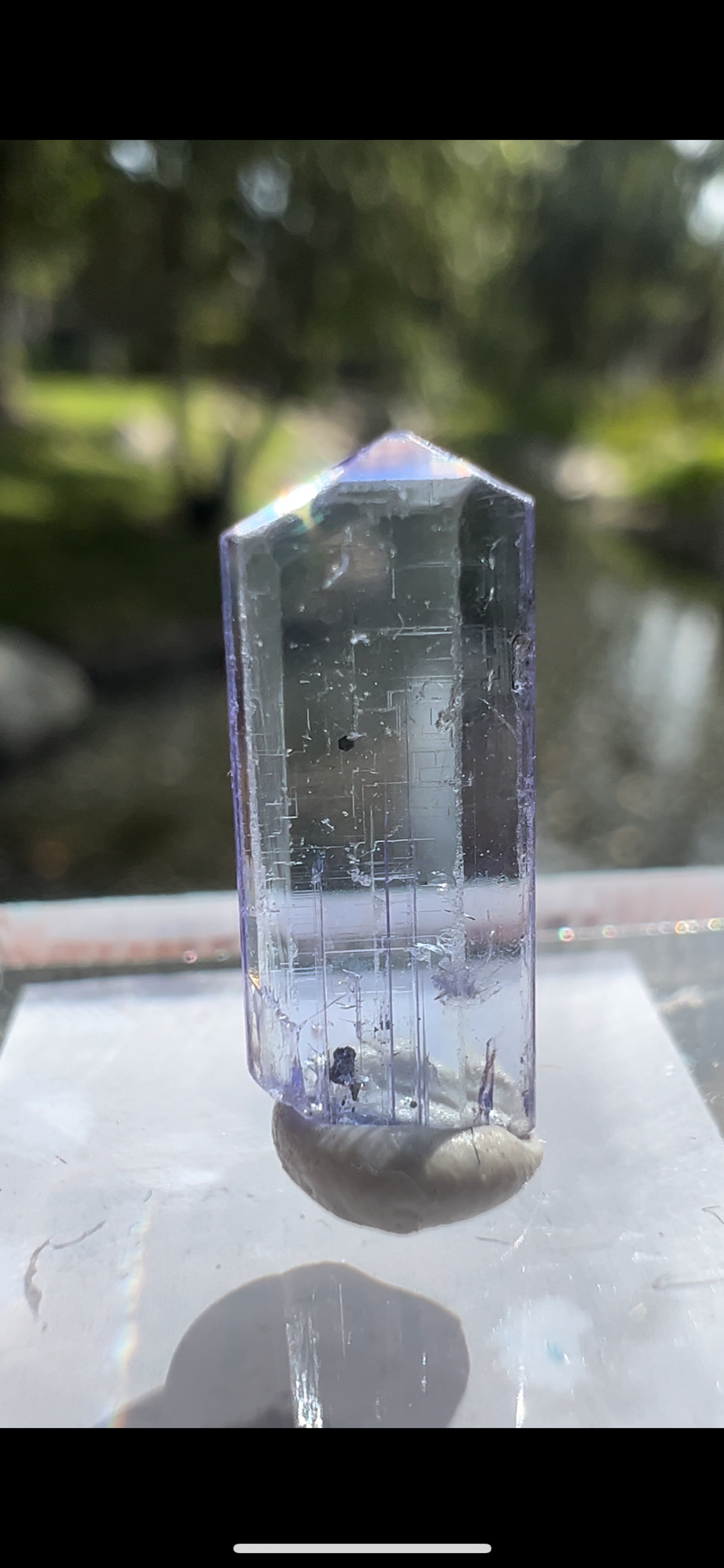 EBA262B9-F1AA-42D3-94C7-8B5E5E9D0E1B