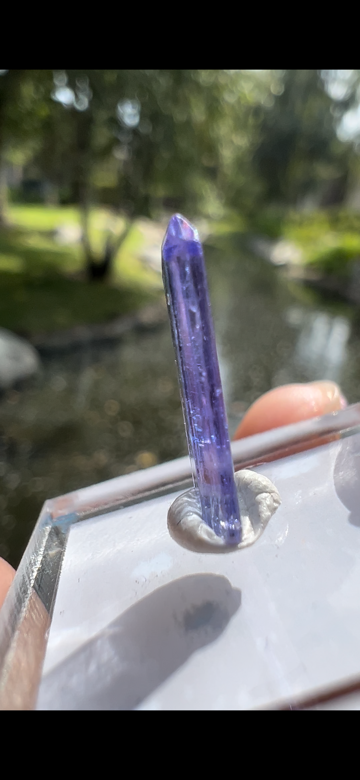 6563699F-EE89-4388-B92C-F8A274A8C93D