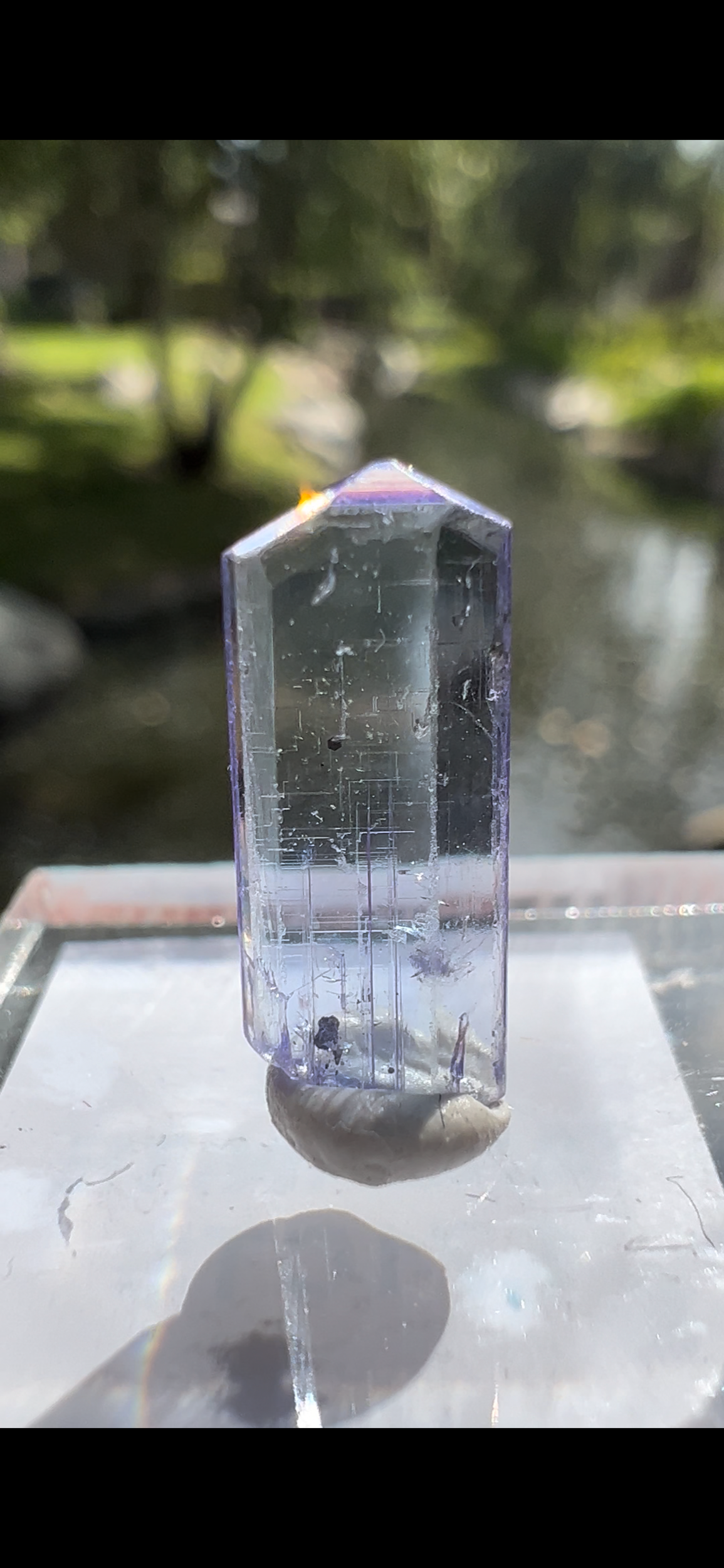 36C4588B-4757-464D-9750-81316E09353A