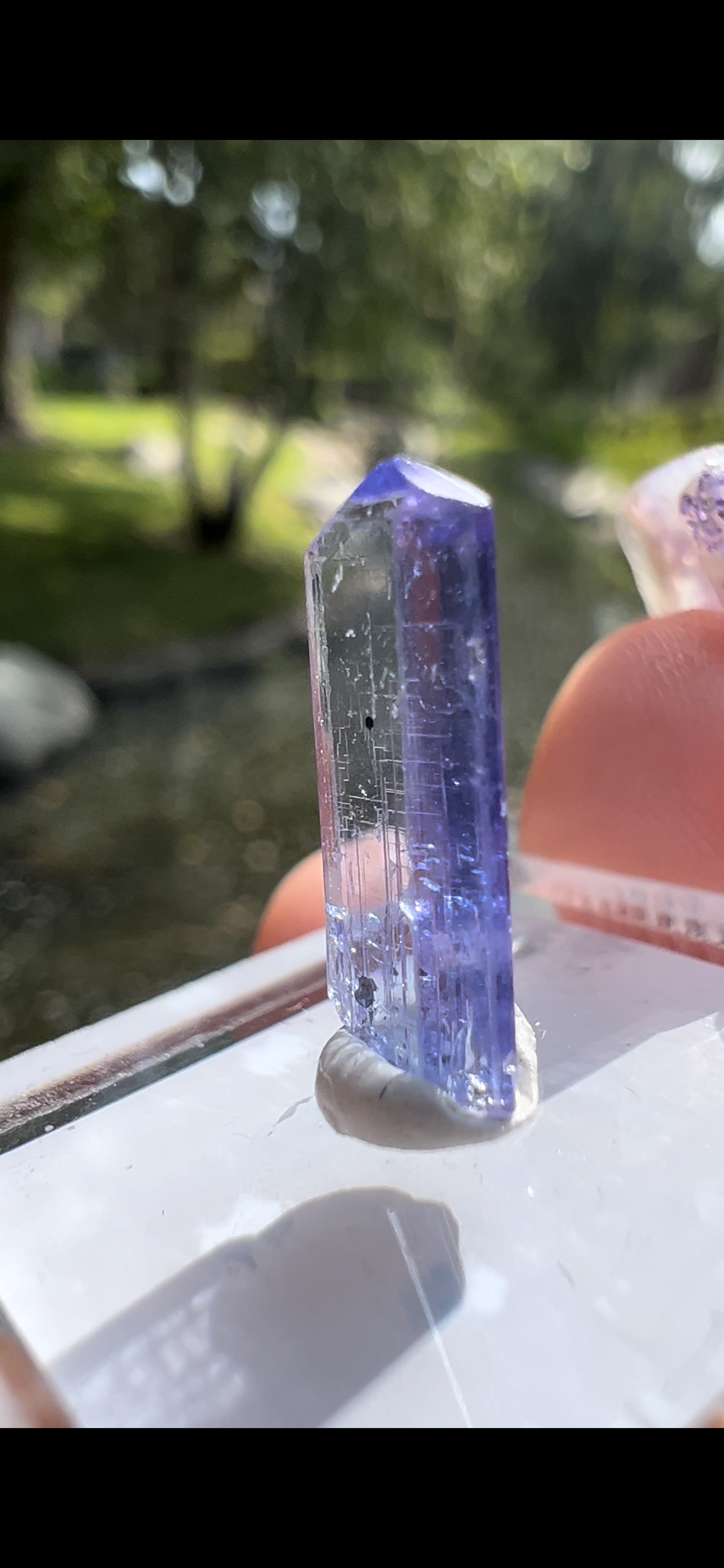 A7B3C785-D8BA-47B0-8634-16B7E11F4710