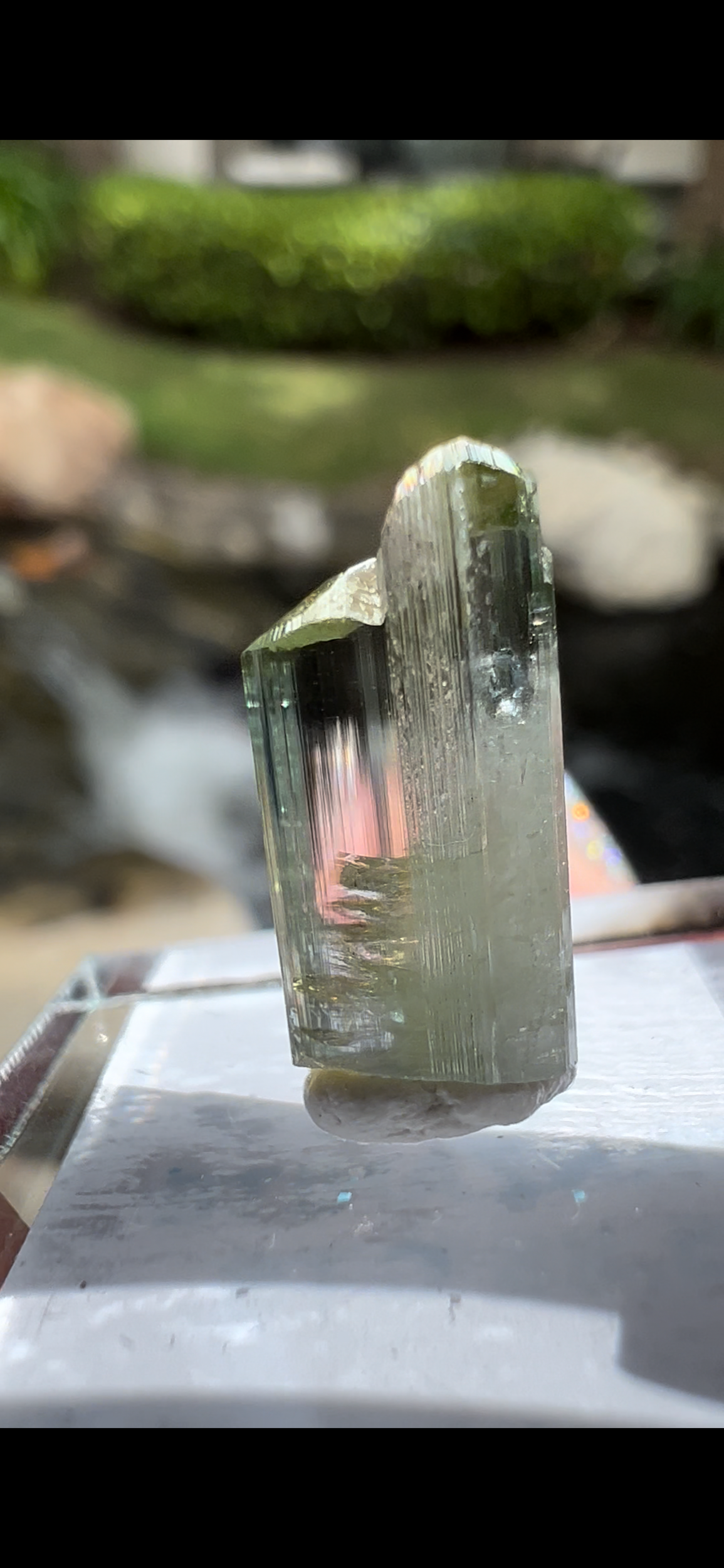 0F8716E4-D243-449B-B90C-940A90A17908