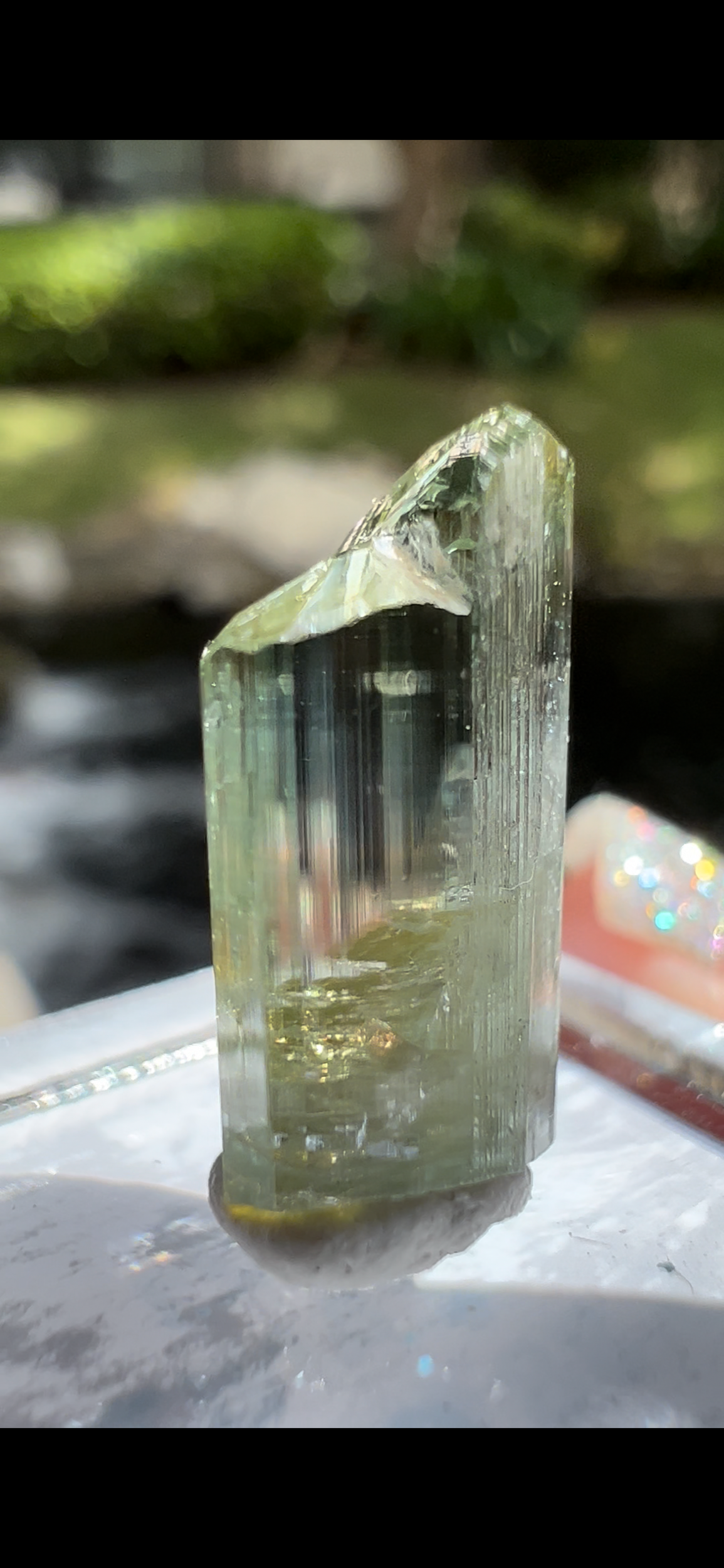 3F342639-440A-4BE3-8372-17E971C48766