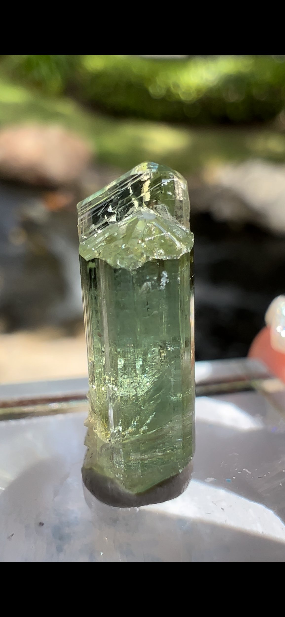 53191C4F-6164-42FF-83DC-66C792F6BAF2