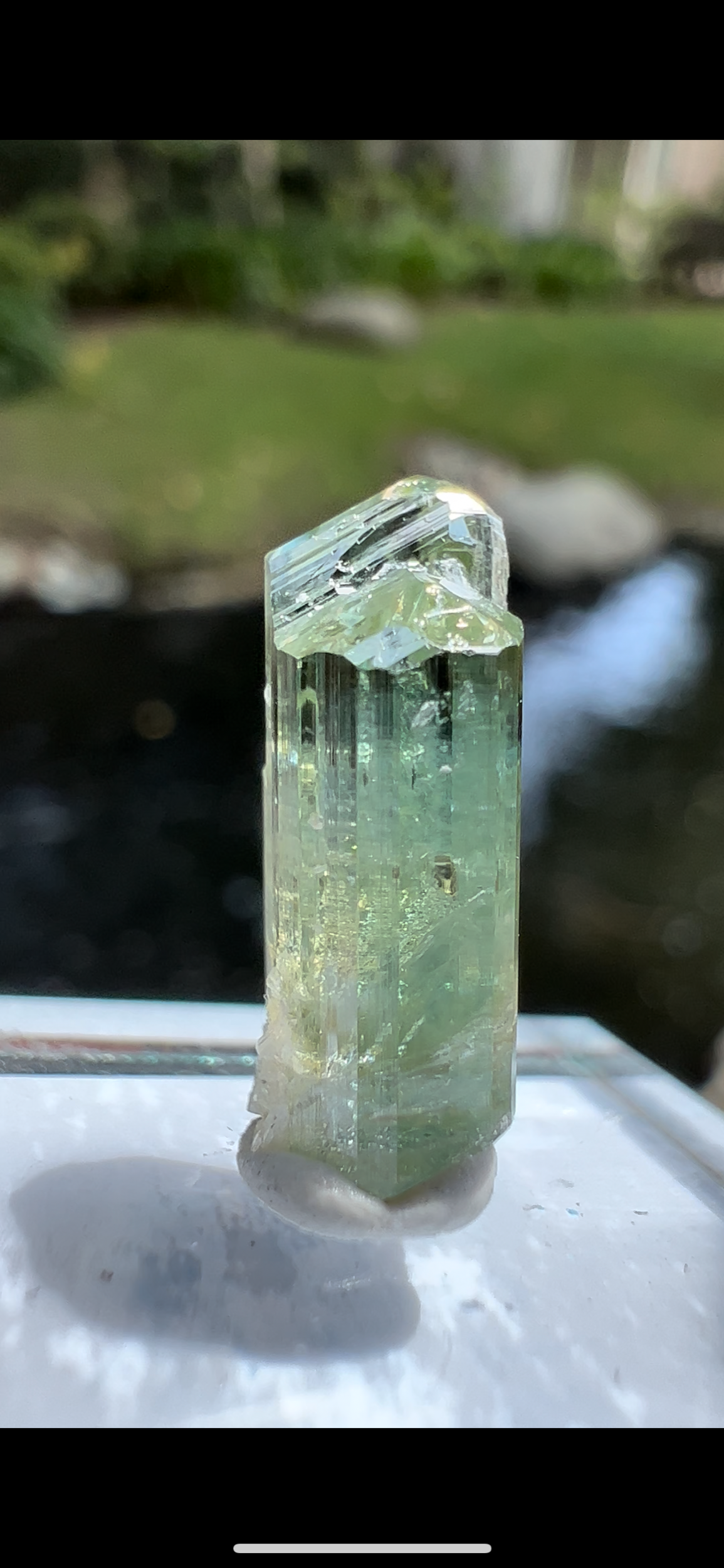 7097E9CB-4835-47A2-8222-A4E5328E23E9