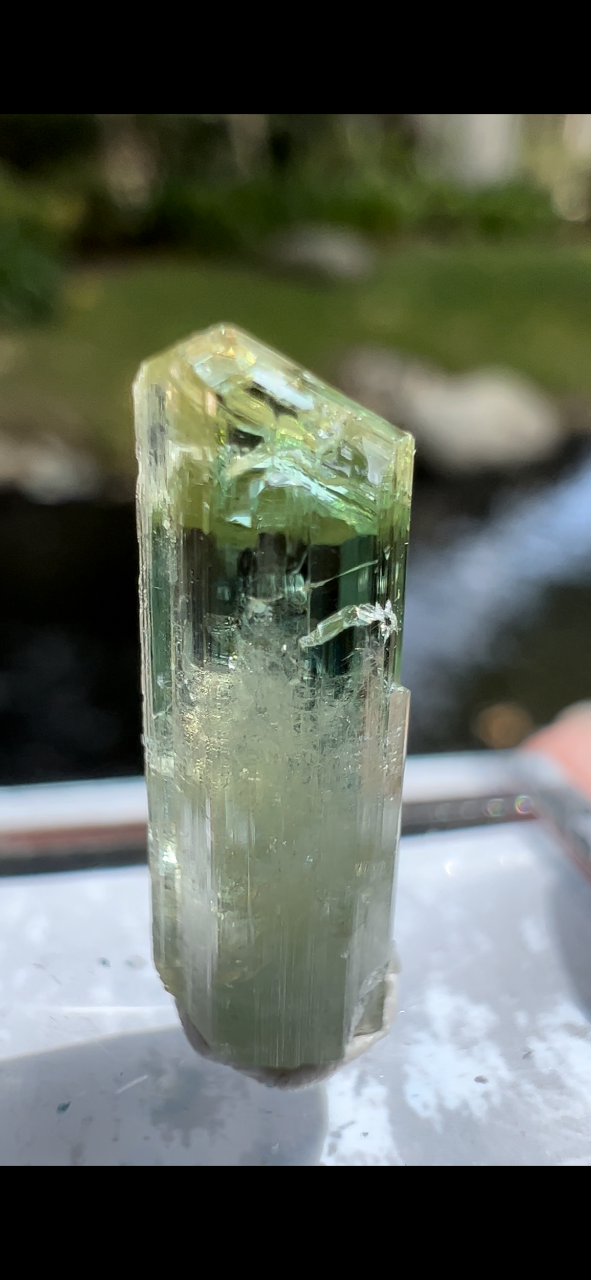 DBE010D8-2839-41B5-81F2-12F66492A854