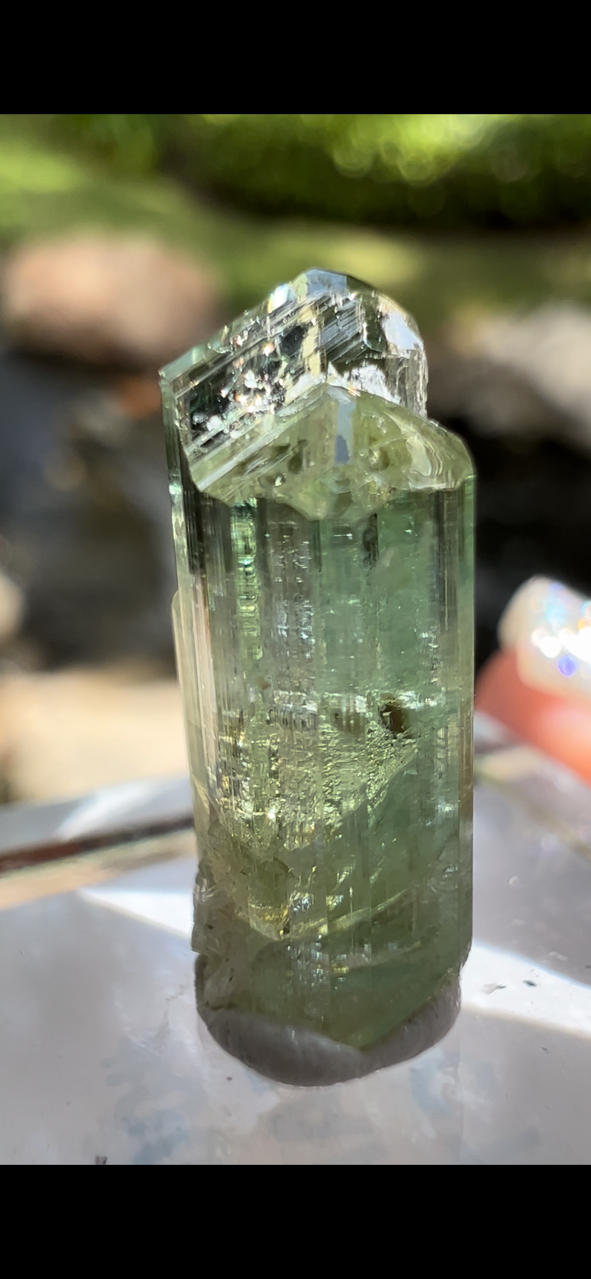 F3D52177-9D81-48E0-8FD0-074A4BBBEF03