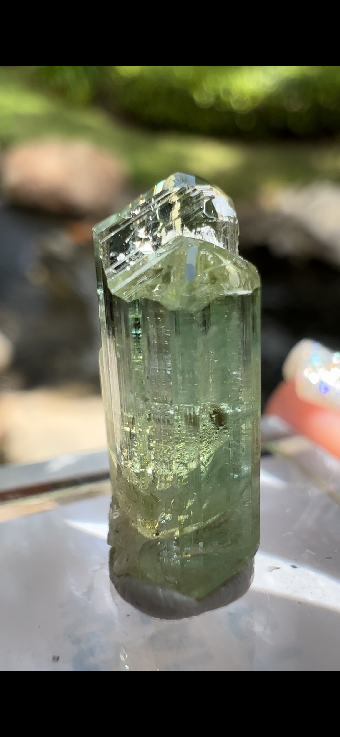 28805974-1579-491A-9A76-A383AF6EB64A