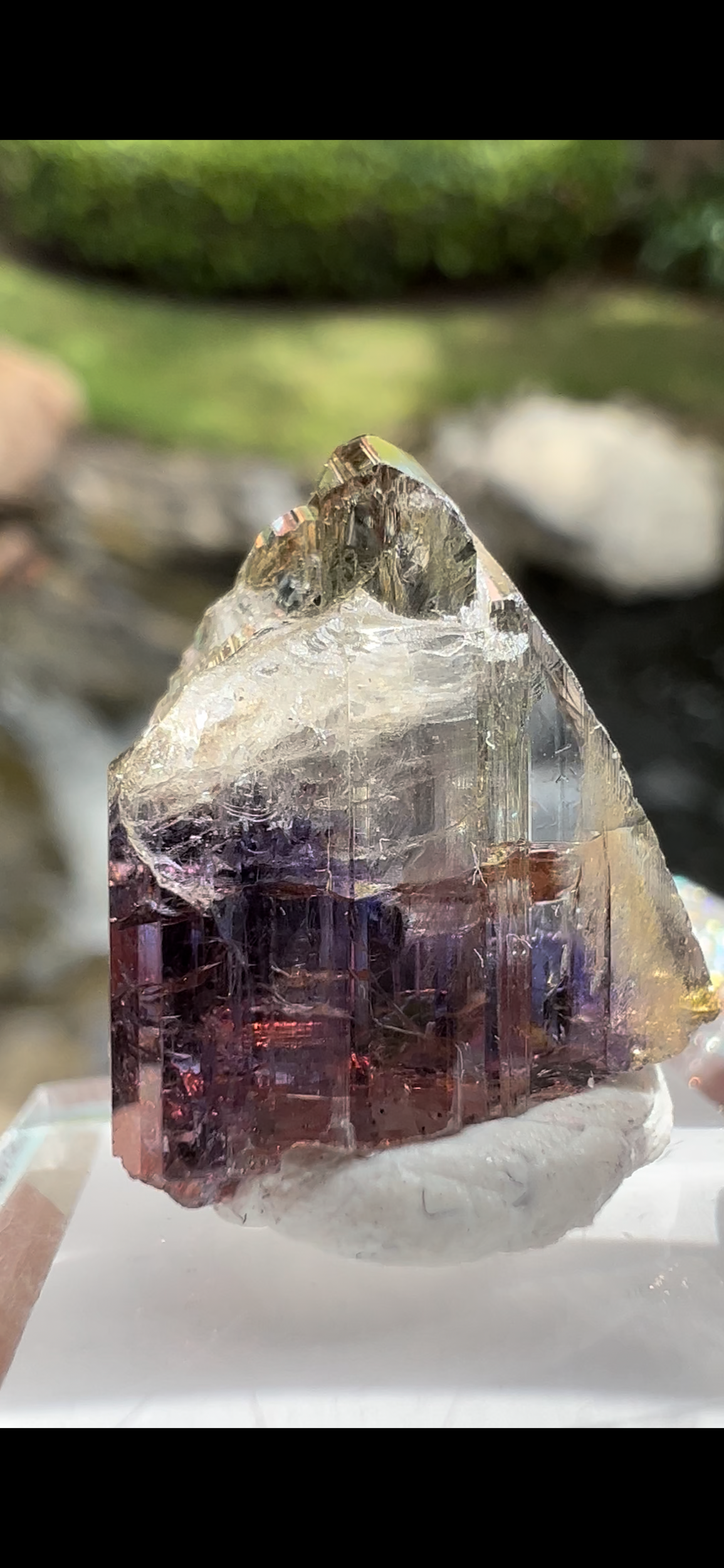 6E5AA9DD-2A87-4511-9002-68F79666EB97